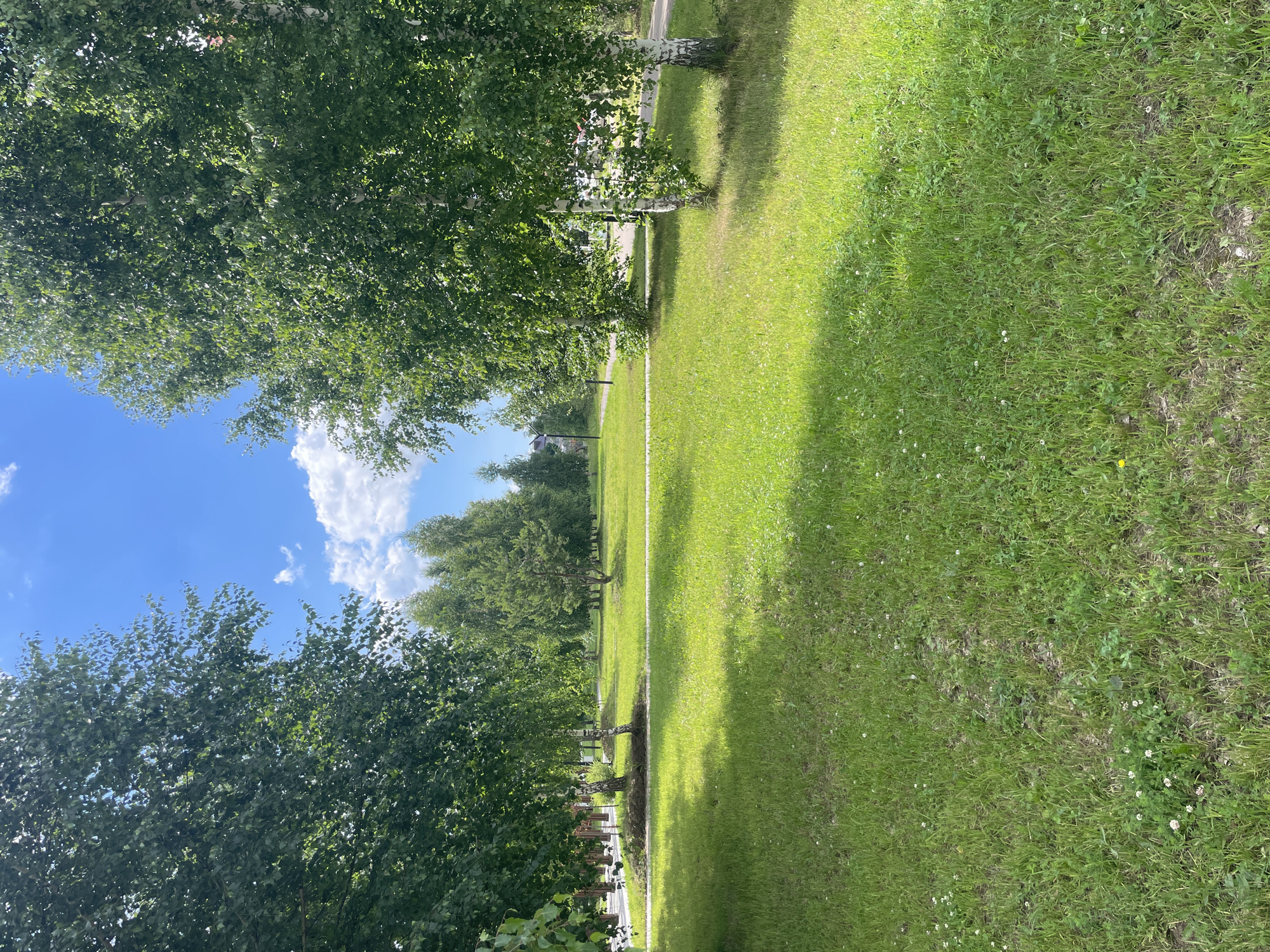 The image depicts a park in the city of Laishevo, Russia. The scene is dominated by a lush green lawn, illuminated by dappled sunlight, suggesting it is daytime. Several trees, including birch trees with their characteristic white bark and other deciduous trees with dense green foliage, line the perimeter of the grassy area. In the background, a paved pathway winds through the park, and a line of coniferous trees can be seen further back. The sky above is a bright blue with scattered white clouds. There are no people or animals visible in the frame, and the environment appears serene and natural. The perspective is from ground level, looking across the open grassy space towards the trees and the path.
