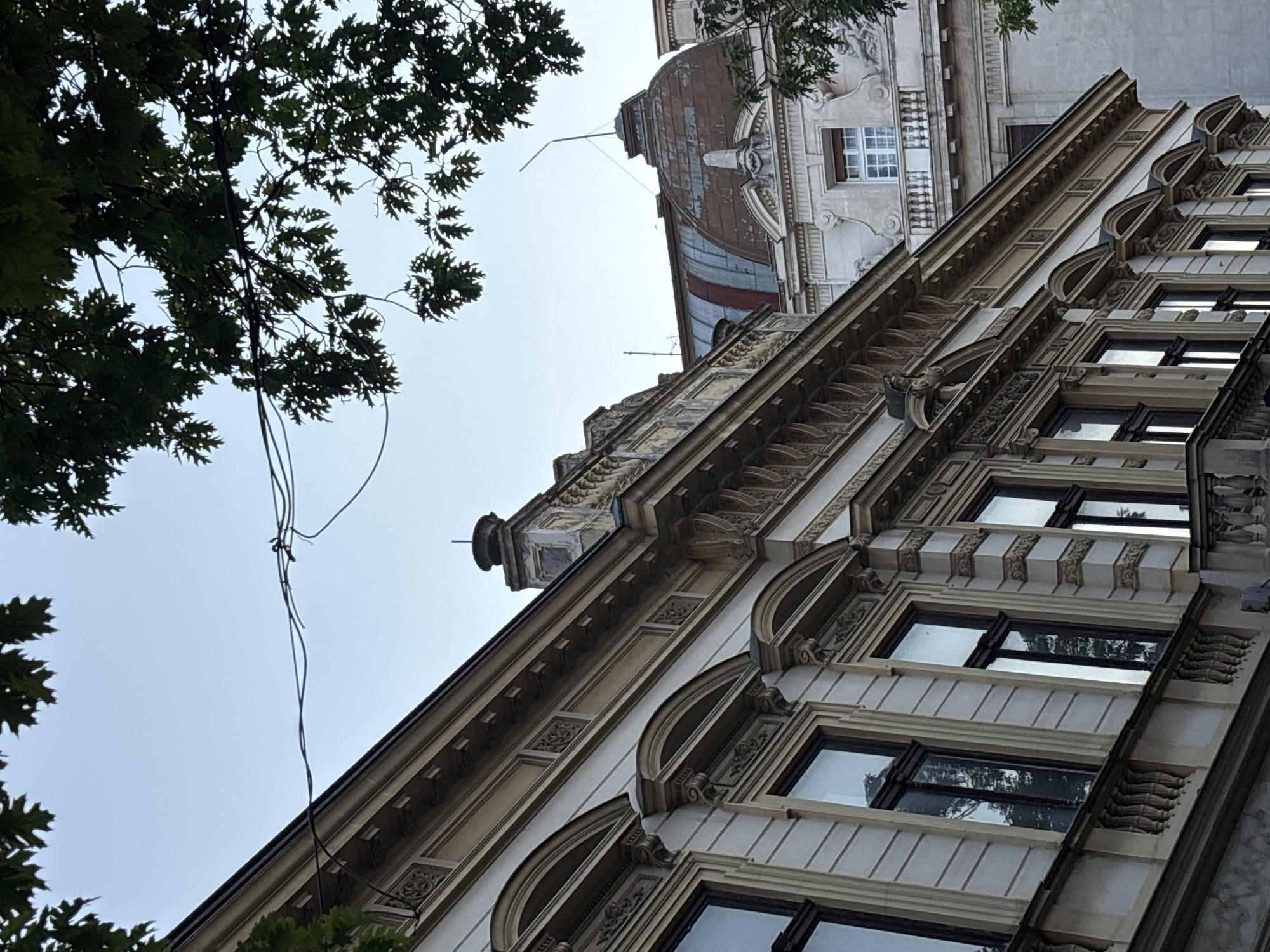 The image displays an upward view of ornate architectural details on buildings in Belgrade, Serbia. In the foreground, a building with a light-colored facade features a series of arched windows with decorative surrounds. The facade is adorned with intricate moldings and cornices. A wrought-iron railing is visible along a lower balcony.
In the background, another building's dome-shaped roof is visible, made of weathered metal with a reddish-brown hue and sections of blue and red. This building also exhibits classical architectural elements, including a balustrade and sculpted decorations above a window.
Dark green foliage from trees overhangs the scene from the top of the frame, partially obscuring the sky, which is a pale blue, suggesting either early morning or late afternoon. Wires are strung across the sky between the buildings. The overall impression is one of historical architecture in an urban setting.