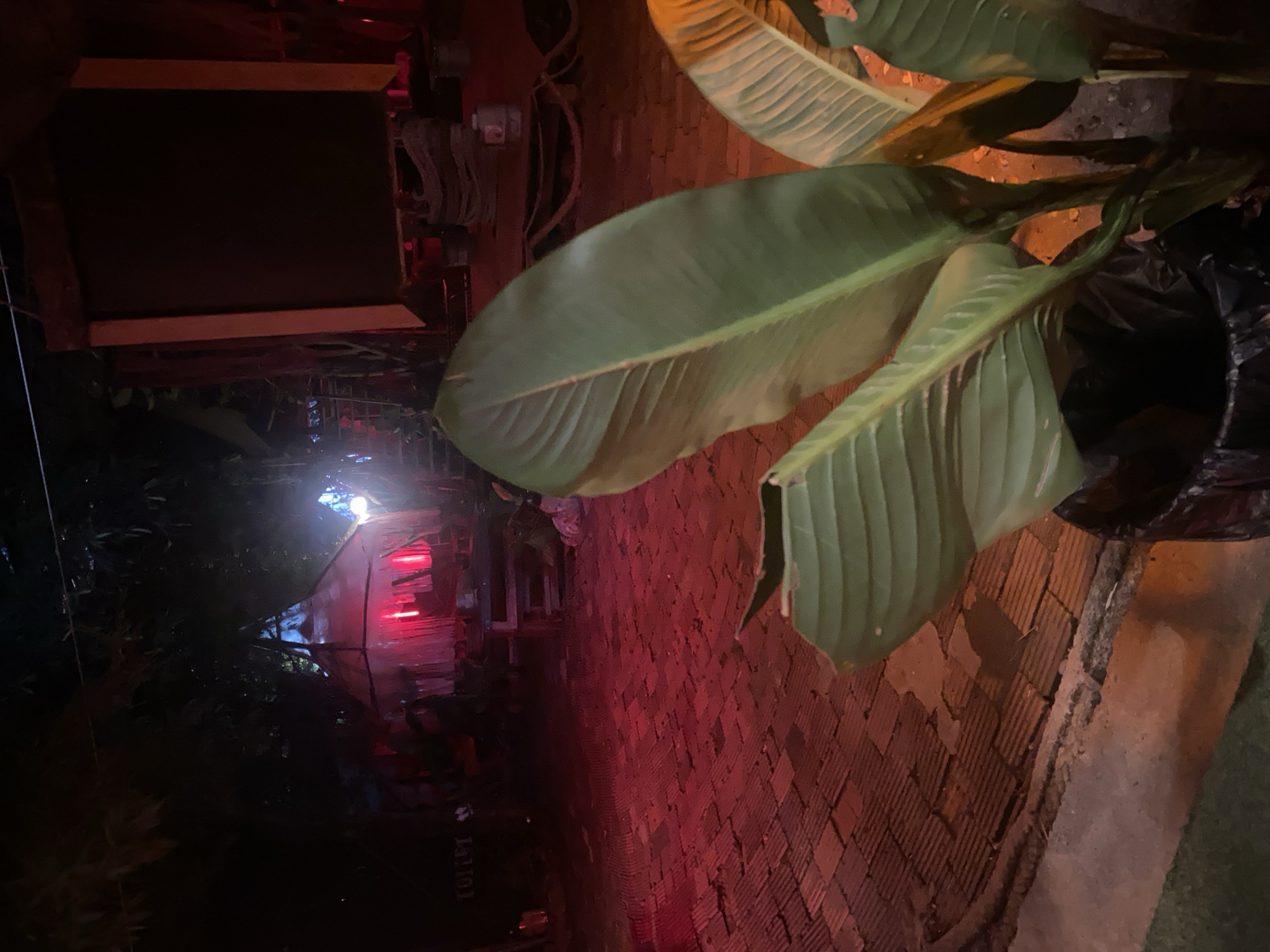 The image depicts an outdoor scene in Baan Don Sai, Thailand, at night. A brick walkway leads towards a building illuminated by a bright white light and accented with red lights. Large, green leaves of a plant are prominent in the foreground, partially obscuring the view of the walkway and building. The overall lighting is dim, with the artificial lights providing the main sources of illumination. The scene evokes a sense of quiet night ambiance.