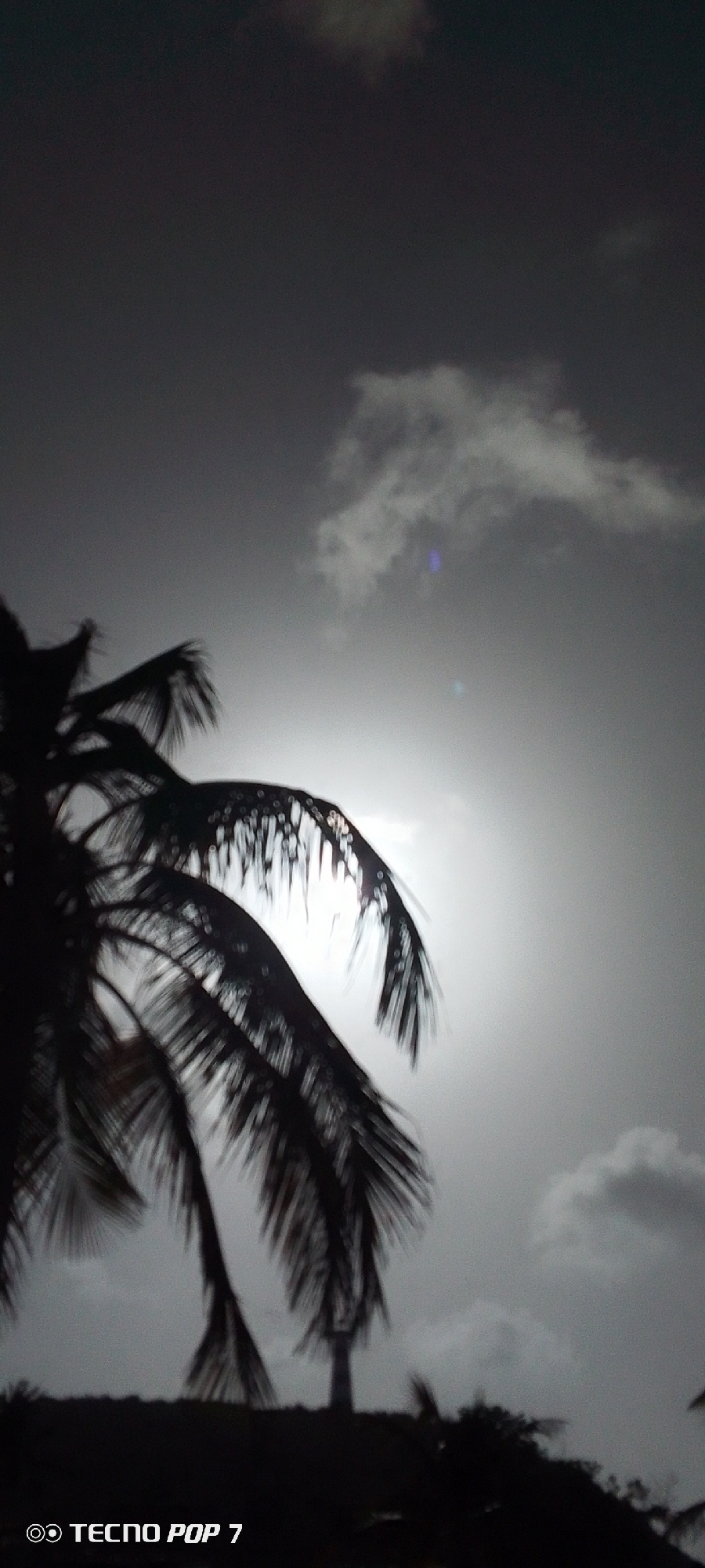 The image shows a monochrome scene with a silhouetted palm tree dominating the left side. The sun, or a bright light source, is behind the palm, creating a halo effect around the leaves. The sky is cloudy with a few distinct cloud formations. The foreground is dark, suggesting a shaded area. The brand "TECNO POP 7" is visible in the lower-left corner. It is challenging to confirm the precise location within Pedro González, Venezuela, based solely on the image content.