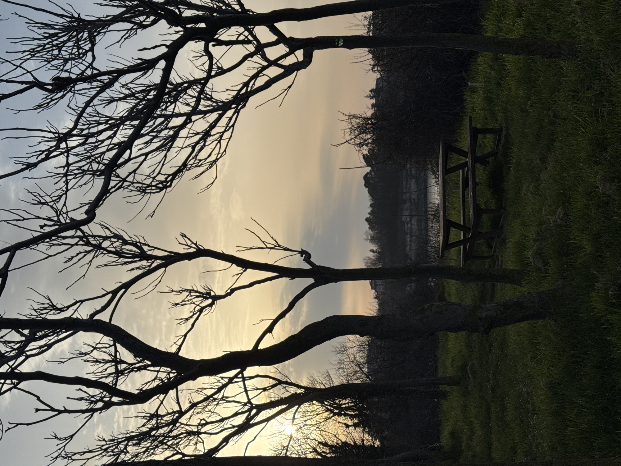The image shows a landscape scene, likely taken near Tsarevo, Bulgaria. In the foreground, there are bare, dark tree branches silhouetted against a sky that transitions from a light, cloudy grey to a golden yellow horizon. The trees frame the center of the image. A picnic table is partially visible in the midground, positioned on a grassy area that slopes down toward a body of water, possibly a river or inlet. The water reflects the sky. A line of dark vegetation or trees is visible on the far side of the water. The sun is setting at the bottom.