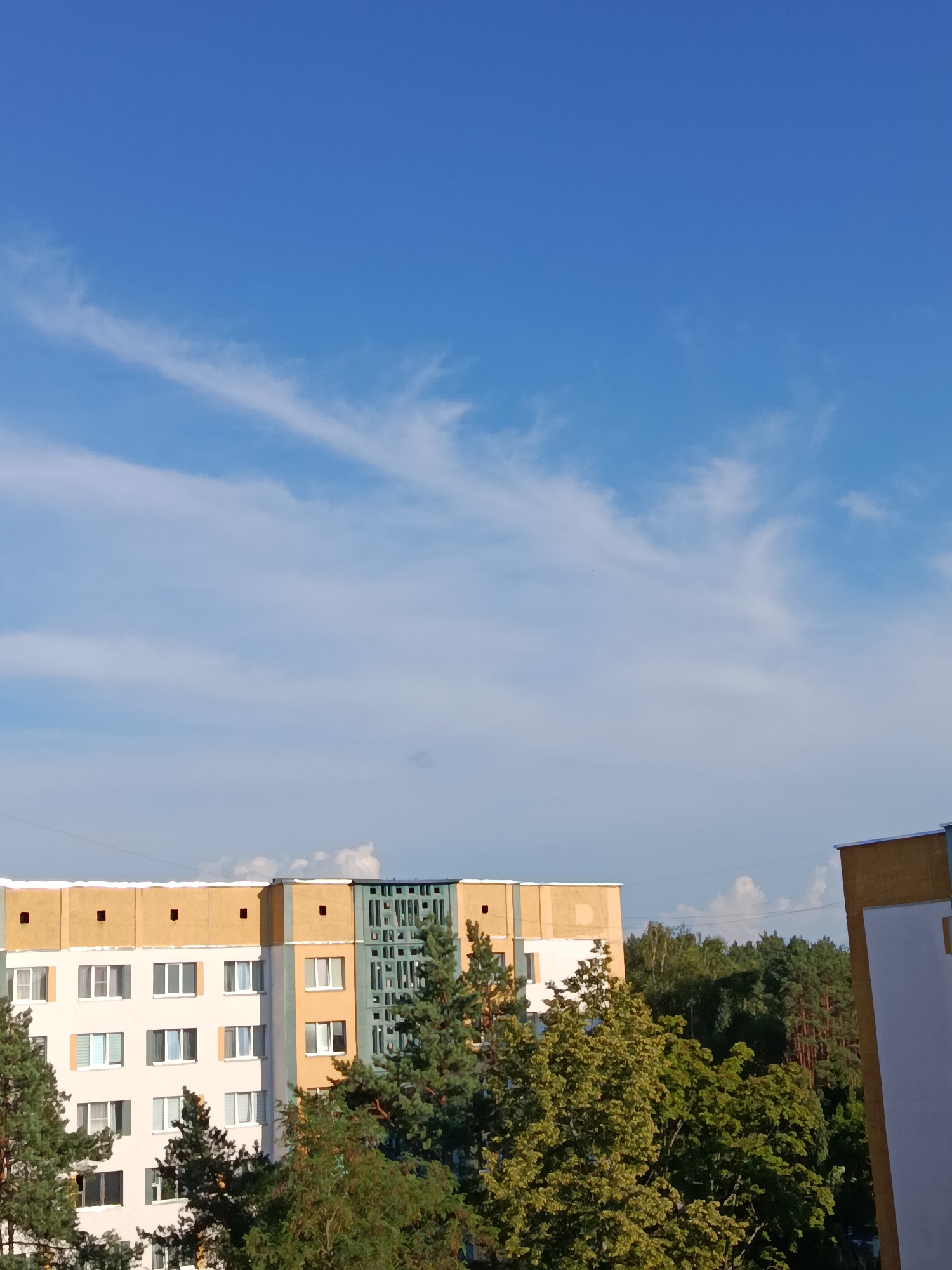 The image shows a clear blue sky with thin, wispy clouds over a residential area in Svietlahorsk, Belarus. In the foreground, the upper floors of apartment buildings are visible. These buildings have a light-colored facade with bands of yellow and a section with a light green decorative grate. Numerous windows with white frames are visible. Dense green trees, including tall pine trees, are in front of and between the buildings. The overall scene depicts a daytime view of a typical urban environment with residential structures and abundant greenery.