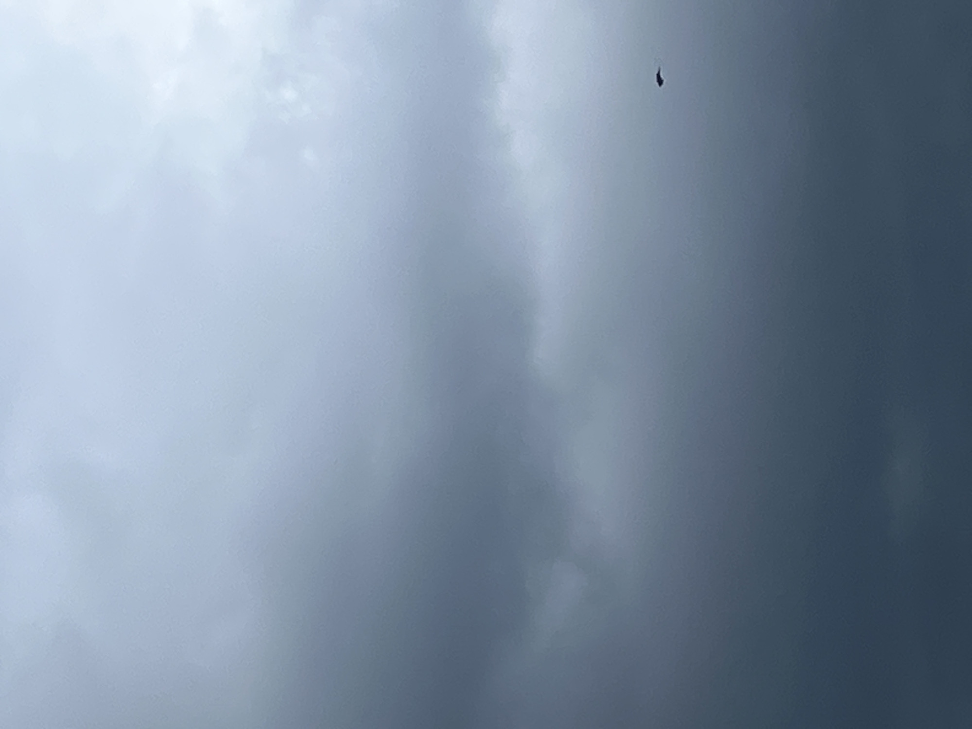 The image captures a vast, heavily clouded sky, presenting a gradient of atmospheric conditions. The upper left portion of the sky features brighter, more diffused white and light grey clouds, suggesting either thinner cloud cover or a light source from that direction. As the view extends towards the lower right, the clouds become progressively darker and denser, transitioning into deeper shades of blue-grey, indicative of heavier cloud formations, potentially an overcast day or an approaching storm.
A singular subject, a small, dark object, is visible in the upper right quadrant of the main image. Upon closer inspection, aided by the cropped views, this object is identifiable as a helicopter, silhouetted against the lighter grey clouds. Its distinct shape, including what appears to be a main rotor and tail boom, is discernible despite its small size in the frame. The helicopter is captured in flight, an ongoing activity within the scene.
There are no people or visible text in the image. The weather is distinctly cloudy and overcast. The time of day appears to be daytime due to the general illumination, even through the cloud cover. No specific location cues are present. The overall mood conveyed by the image is muted and expansive, dominated by the cloudscape. The cropped images serve to highlight the varying textures and tones of the clouds and to offer a clearer view of the helicopter.