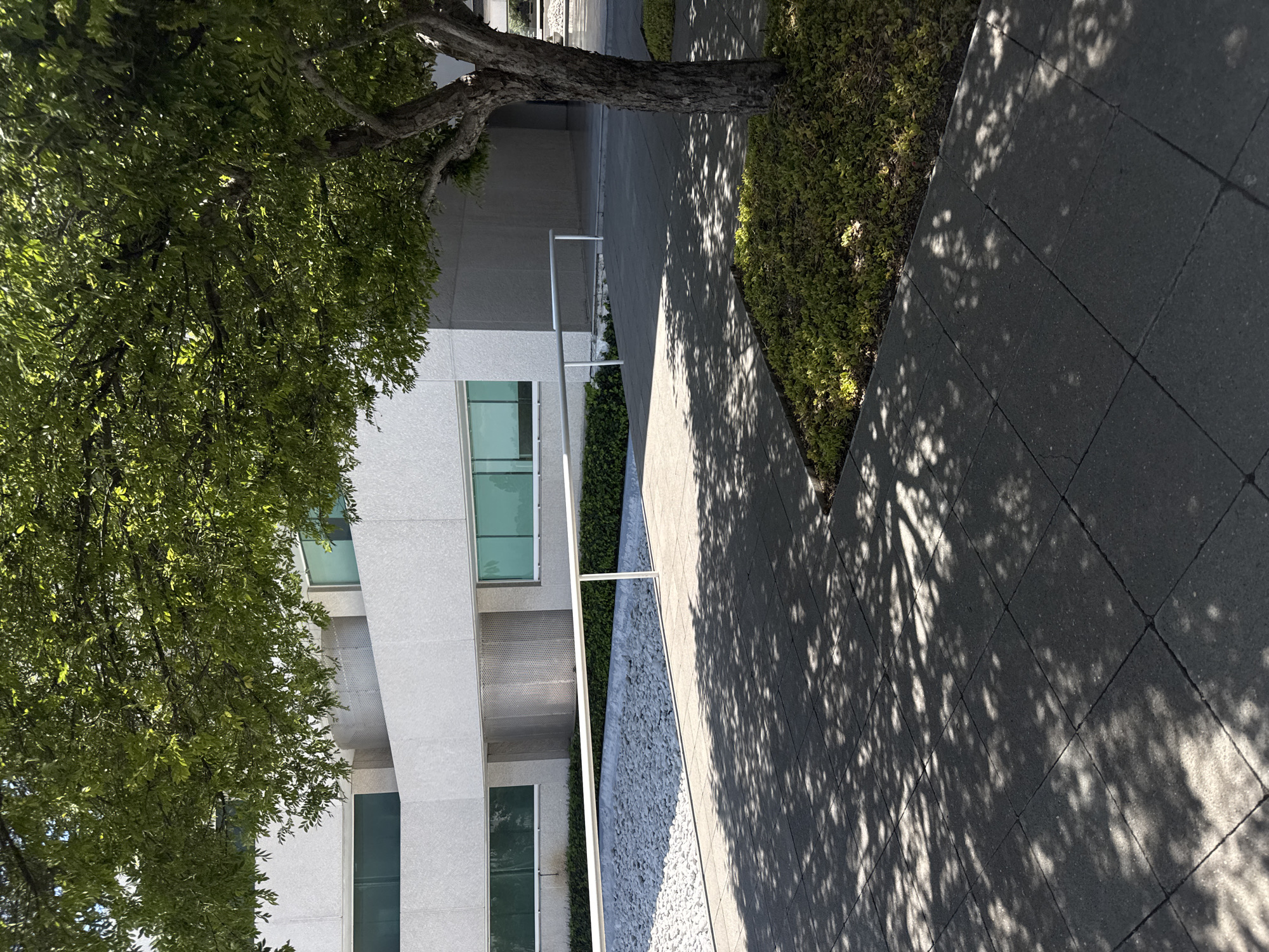 The image, rotated counter-clockwise from its natural orientation, depicts an outdoor modern architectural and landscaped scene in Heroica Puebla de Zaragoza, Mexico.
The foreground is dominated by a large tree with dense green foliage, its trunk visible towards the center. The tree casts prominent, dappled shadows across a light grey paved area, suggesting strong sunlight. This paved area appears to be a walkway or plaza, made of square pavers.
To the right of the paved area, a strip of low, neatly trimmed green shrubbery runs along the ground. Further to the left, separating the paved area from a modern building, is a bed of white pebbles or gravel, bordered by a white metal railing.
The building on the left side of the frame features a light-colored, possibly white or light gray, facade with multiple rectangular windows, some appearing with a greenish tint. Its architecture is modern and clean-lined. A textured, perforated metal panel is visible between some windows.
The scene is static, with no people or specific activity taking place. The strong shadows and bright lighting indicate it is daytime, likely a sunny mid-morning or afternoon. No visible text or signage is present in the image. The overall impression is one of a well-maintained, contemporary urban or commercial space.