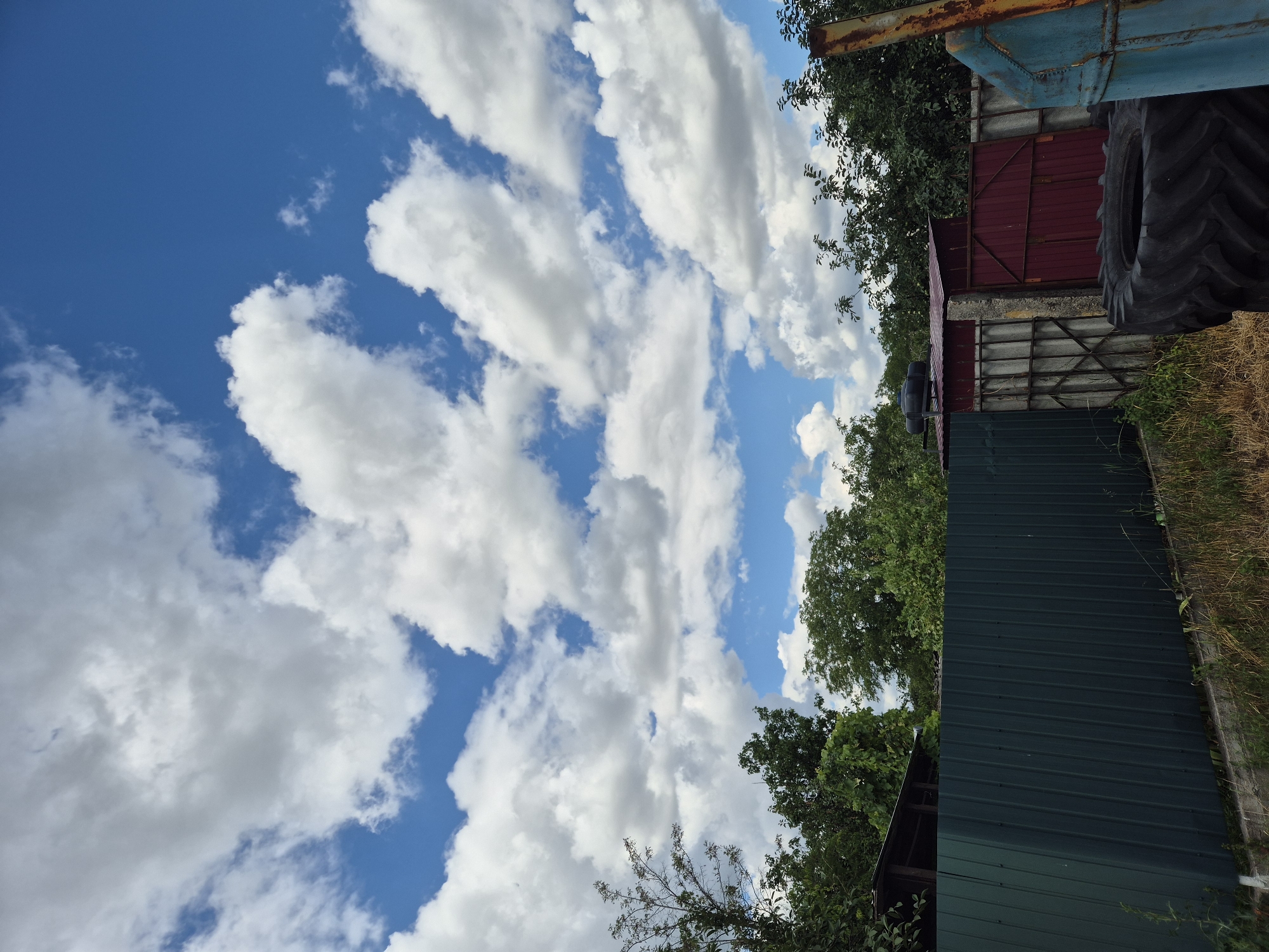 The image captures a sunny day in the village of Sozonivka, Ukraine, with a bright blue sky filled with fluffy white clouds. In the foreground, a tall, dark green corrugated metal fence runs horizontally across the frame. To the right of the green fence, there is a red metal gate with vertical slats and a section of a grey concrete and metal fence. In front of this gate, a large, black tractor tire is prominently displayed. Behind the fences, a dense canopy of green trees forms the middle ground. The top portion of the image is dominated by the expansive sky and clouds. The scene suggests an outdoor area, possibly a yard or a rural property. There are no people or animals visible in the image.
