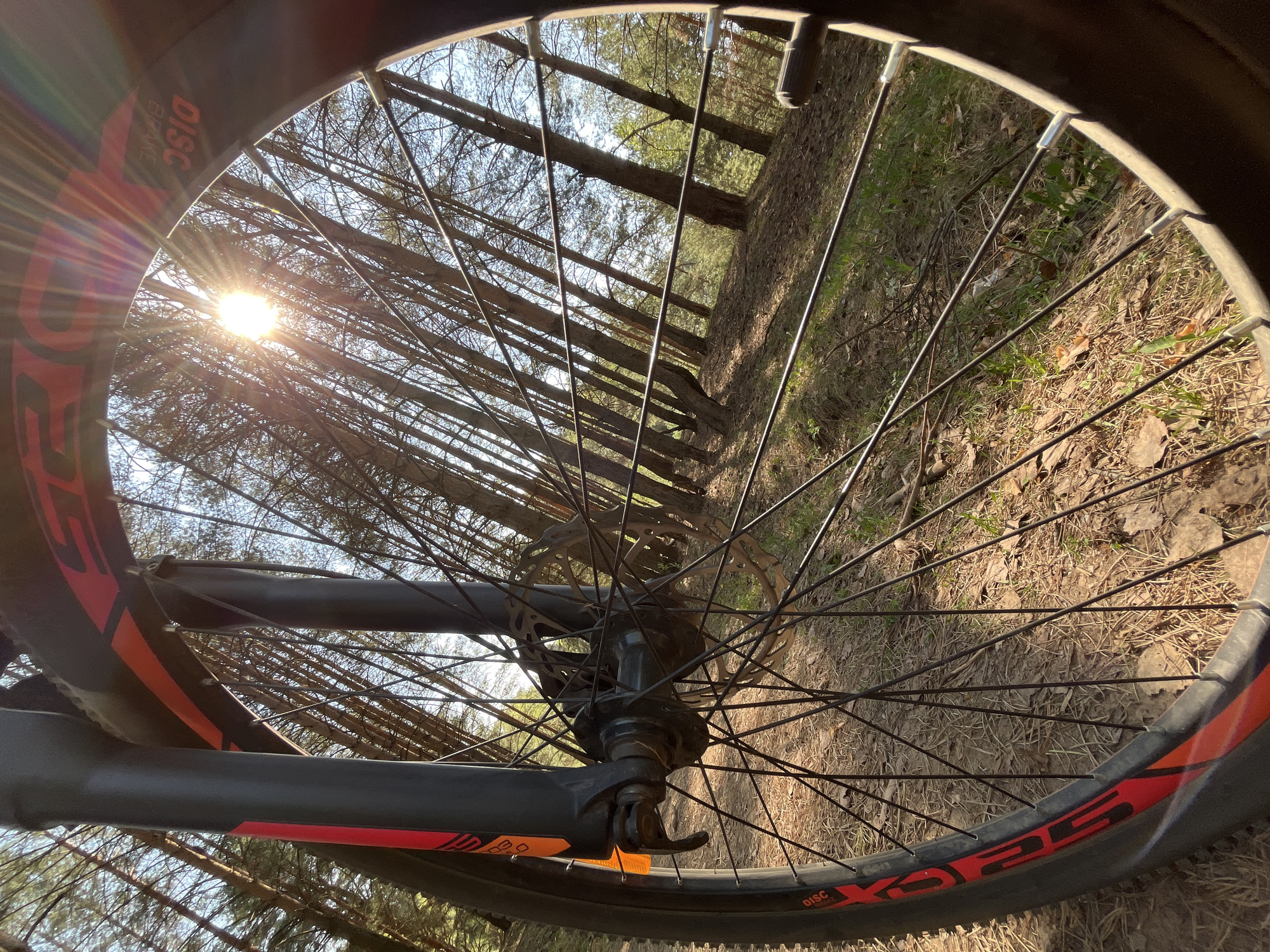 A low-angle shot shows a bicycle wheel in the foreground, framing a forest scene. The sun is visible through the trees on the left. The foreground and background are in focus. The location cannot be verified as Chaikovsky, Russia, based on the image alone.