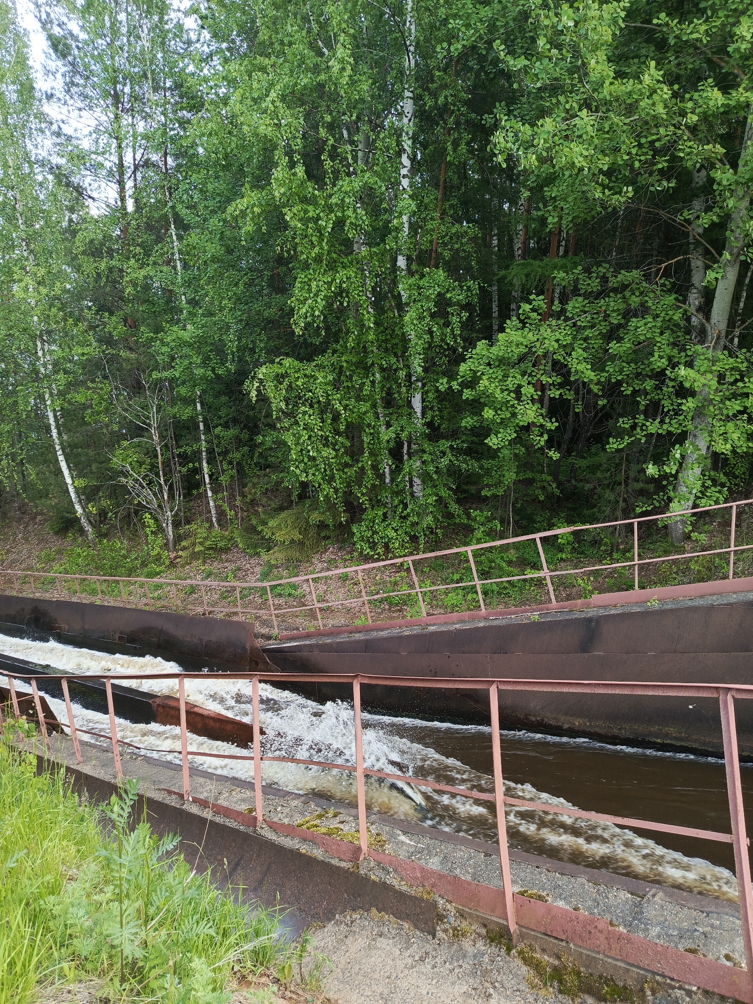 The image displays an outdoor scene featuring a man-made water channel or aqueduct cutting through a dense, verdant forest. Two parallel, dark-colored channels, constructed from what appears to be metal or concrete, carry a significant flow of water. The water in the channels is turbulent, creating white foam and rapids, suggesting a substantial current or a drop in elevation.
Running alongside the channels, particularly prominent on the right and in the foreground, are reddish-brown metal railings, which serve as a protective barrier. These railings exhibit signs of age and wear.
The background and the areas surrounding the channels are dominated by a rich green forest. The trees are a mix of deciduous species, notably white-barked birch trees, and some coniferous trees, characteristic of a northern temperate climate. Lush green grass and other vegetation grow on the banks and in the immediate foreground, contrasting with the dark channels and railings.
The scene is illuminated by bright, diffused daylight, indicating an overcast day or soft lighting conditions without direct sunlight. There are no people or animals visible. The setting is in Chernushka, Russia. No visible text is present in the image.
