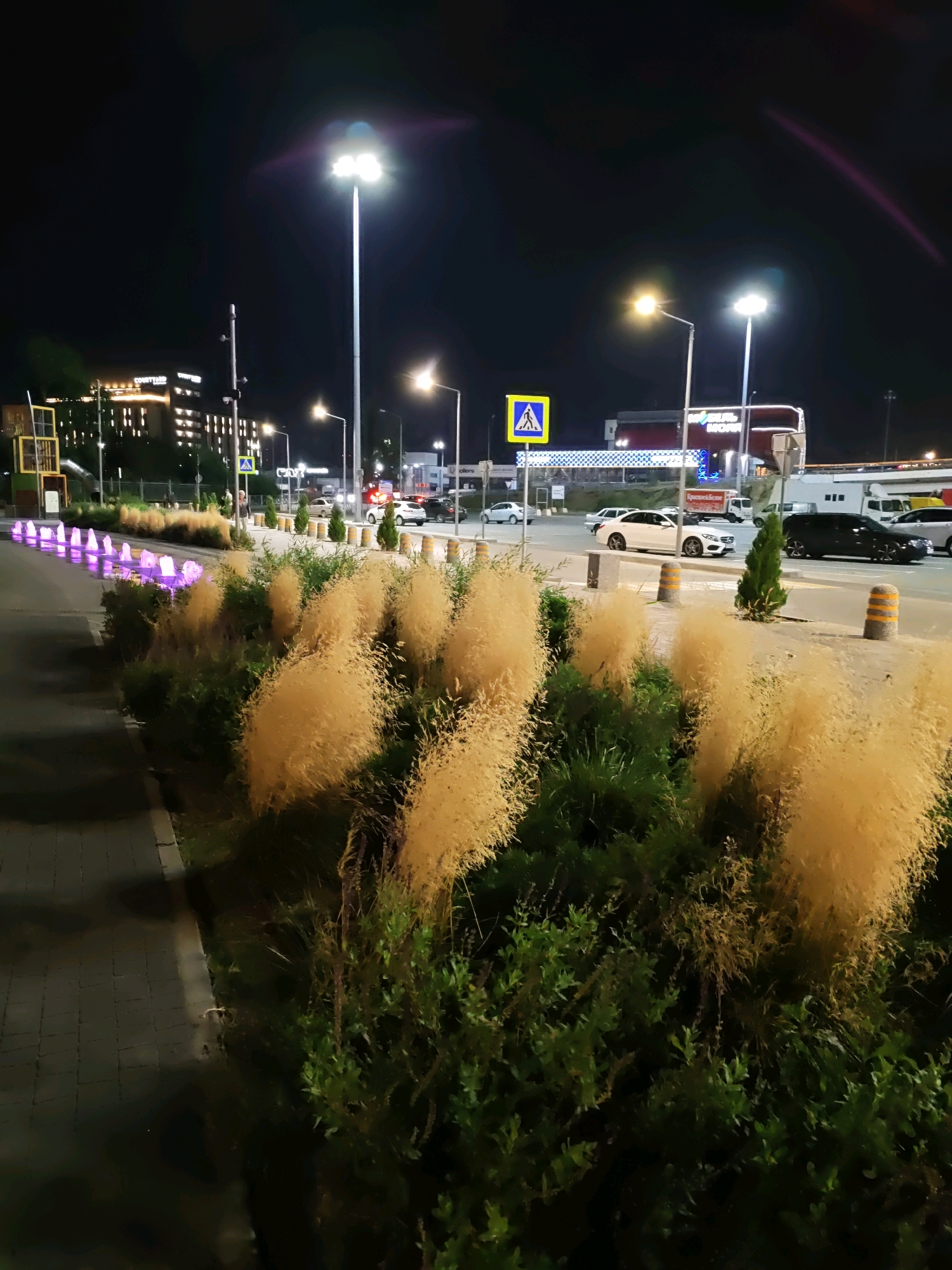 A nighttime, wide-angle shot captures a pedestrian walkway next to a road lined with decorative grass and green bushes. The walkway is paved with gray interlocking stones and bordered by a white strip. To the left, a line of purple water fountains is illuminated. Beyond the grass and bushes, a road with several cars is visible, including a white sedan and a black SUV. A pedestrian crossing sign with a yellow triangle and a blue silhouette of a person is posted on the right. In the background, buildings are illuminated with lights, and streetlights cast a bright glow on the scene. The overall environment appears to be a well-lit urban area.