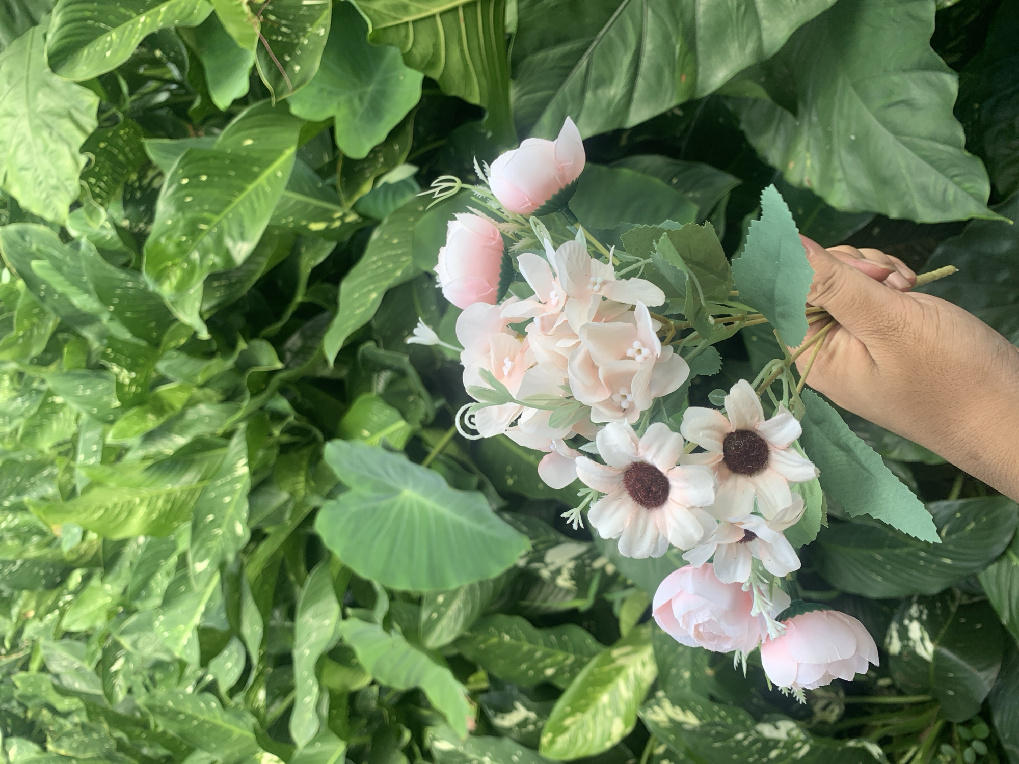 A hand holds a bouquet of artificial flowers in front of lush green foliage. The bouquet features light pink and white flowers with dark brown centers, along with pink buds and green leaves. The background consists of large, variegated green leaves, typical of tropical plants. The scene appears to be outdoors in a garden or natural setting. No specific location in Kuala Pembuang, Indonesia, can be identified from the image.