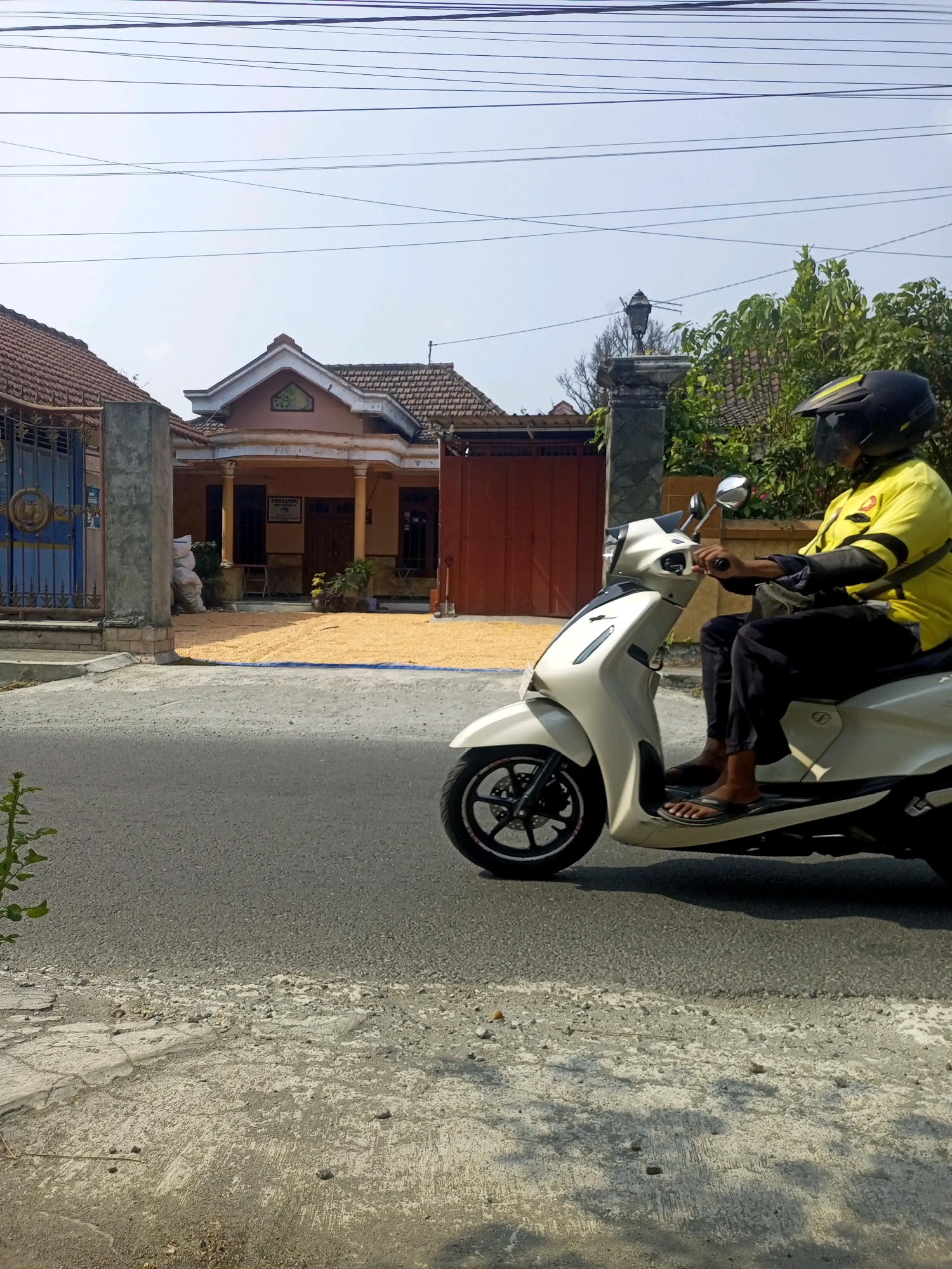 In Ngasem, Indonesia, a person wearing a yellow shirt and black helmet rides a white scooter on a paved road. The scooter is in motion, with its front wheel visible and a portion of the rear wheel cut off. The rider's legs are bent, and they are wearing dark pants and flip-flops. A light-colored bag is slung across the rider's chest.
Behind the scooter, a house with a brown tiled roof and orange walls is visible. The front yard of the house is covered in a large spread of yellow material, possibly grains being dried in the sun. A blue gate with decorative metalwork stands to the left of the house, and a concrete pillar is in front of it. Trees with green foliage and a street lamp on a pillar are also present in the background. The sky is clear and bright, suggesting a sunny day. The foreground of the image shows a textured concrete surface and the edge of the asphalt road.