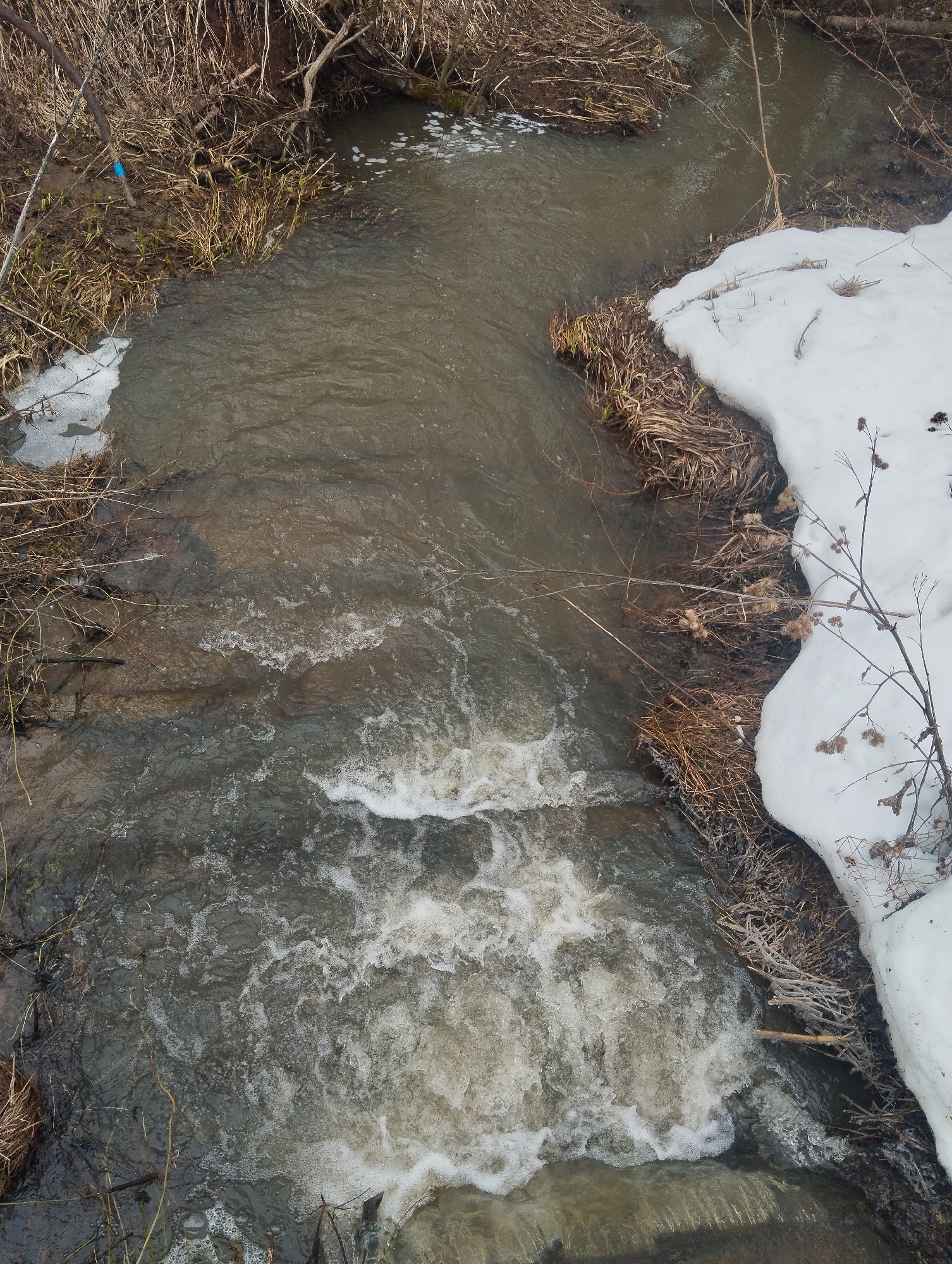 A stream flows through a landscape with melting snow, partially covered with dry grass and bare branches. The water is turbulent, with foamy white patches indicating movement and aeration. Patches of snow remain on the right bank of the stream. The environment is consistent with a natural, possibly rural, setting, though the specific location in Grishanki, Russia, cannot be forensically confirmed from visual data alone. There are no people present in the scene.