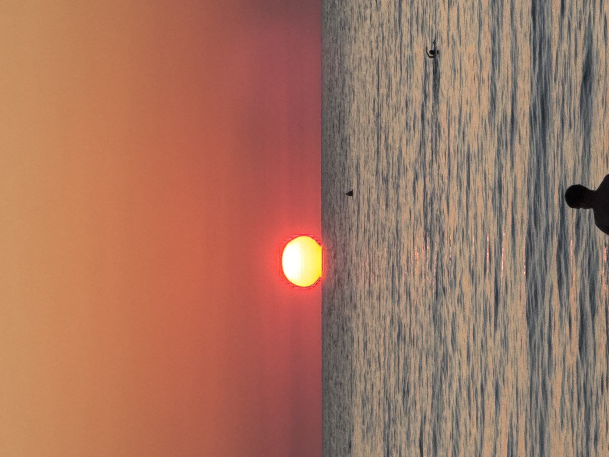 The image depicts a sunset over the sea. A large, bright orange sun is partially submerged below the horizon, casting a warm glow across the sky and water. The sky is a gradient of orange and pink, transitioning to a deeper orange closer to the horizon. The sea is calm with gentle ripples, reflecting the colors of the sunset.
In the foreground, a person is seen from behind, silhouetted against the water. They appear to be sitting or standing on the shore, facing the sea.
Further out in the water, there are two individuals. One appears to be swimming, with their head and arms visible above the surface. Another, smaller dark shape is visible in the distance, possibly a buoy or another person.
The scene evokes a sense of tranquility and the end of a day, with the natural beauty of the sunset dominating the composition. The image does not provide any specific visual cues that would indicate a location within the city of Sevastopol, Ukraine.