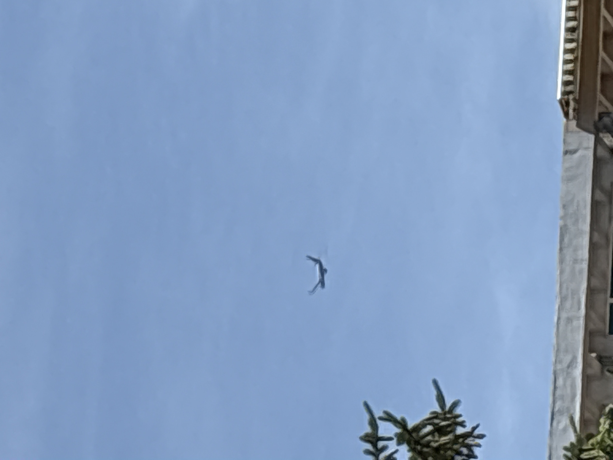 An airplane is visible in the sky above a building. The airplane is a dark silhouette against the light blue sky. The airplane appears to be in flight and is positioned in the upper right quadrant of the image. In the foreground, the top of a building is visible, with a portion of foliage on the left side. The building appears to be constructed with light-colored materials and has a flat roof. The foliage is green and leafy, suggesting it is a tree or shrub. The overall scene is one of an outdoor environment on a clear day. The specific location in Sofia, Bulgaria, cannot be determined from the provided image alone.