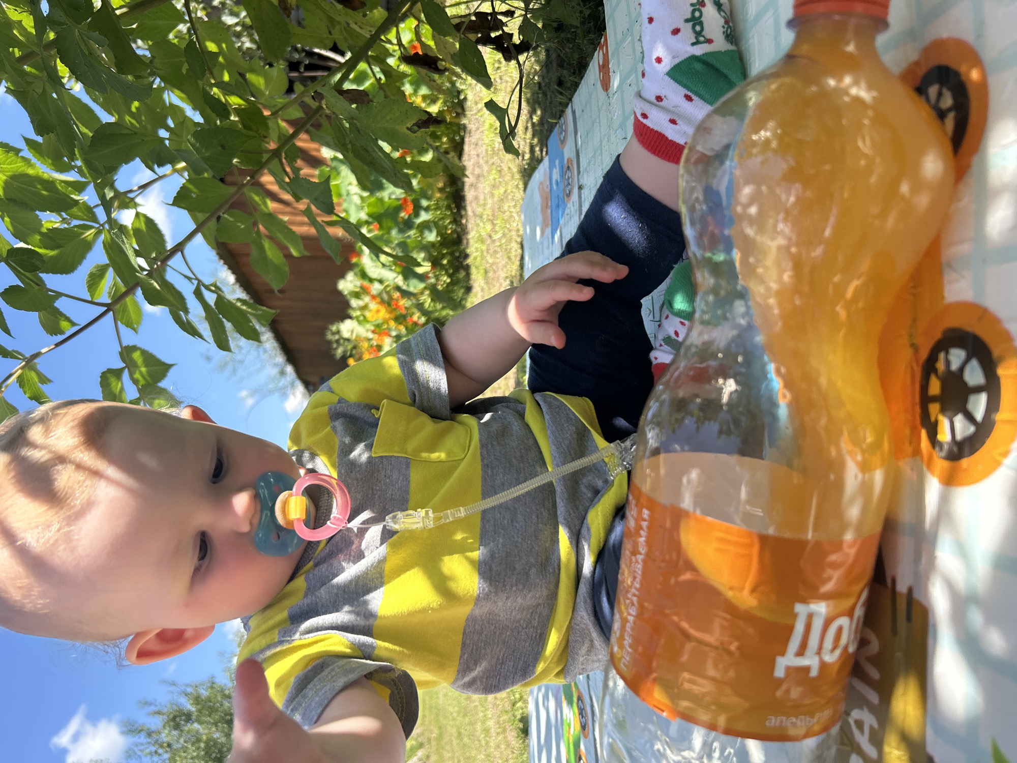 In an outdoor setting, likely a backyard in Kalitsino, Russia, a young child with fair hair and a pacifier is seated on a play mat. The child is wearing a yellow and gray striped t-shirt and dark pants, with festive red and green socks. In front of the child is a clear plastic bottle filled with an orange liquid, possibly soda or juice. The bottle appears to be partially tipped over. Green foliage and a wooden fence are visible in the background, suggesting a residential area. The lighting indicates it is daytime, with bright sunlight.