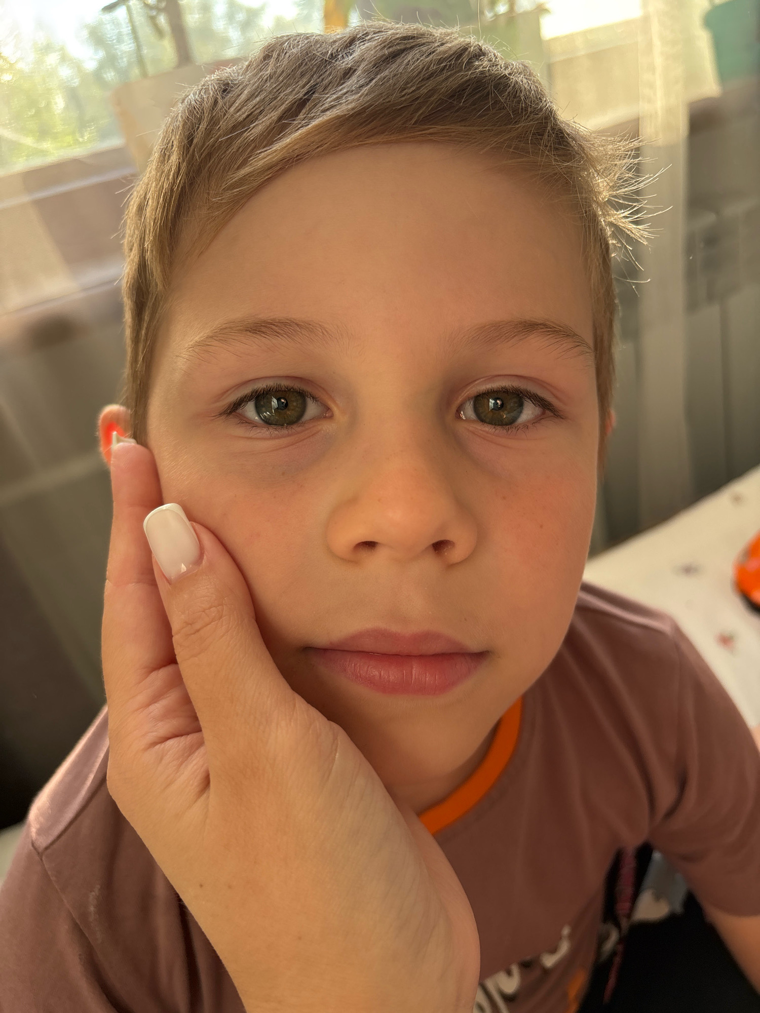 This is a close-up, eye-level medium shot of a young boy's face, with his right cheek being gently held by an adult's hand. The boy has short, light brown hair with some flyaways, and clear, green eyes. His skin appears fair with a few light freckles visible on his cheeks. The adult's hand has neatly manicured nails with a French tip design. The boy is wearing a brown t-shirt with an orange trim around the neckline.
The scene appears to be indoors, possibly in a home, with natural light filtering in from what looks like a window in the background, suggesting it is daytime. The soft lighting and the boy's calm expression convey a sense of warmth and tenderness. The background is softly blurred, with hints of greenery outside a window and possibly some blinds. No text is visible in the image. The context indicates the location is Fedorino, Russia. The activity is a moment of gentle interaction between a child and an adult, captured in a portrait-style photograph.