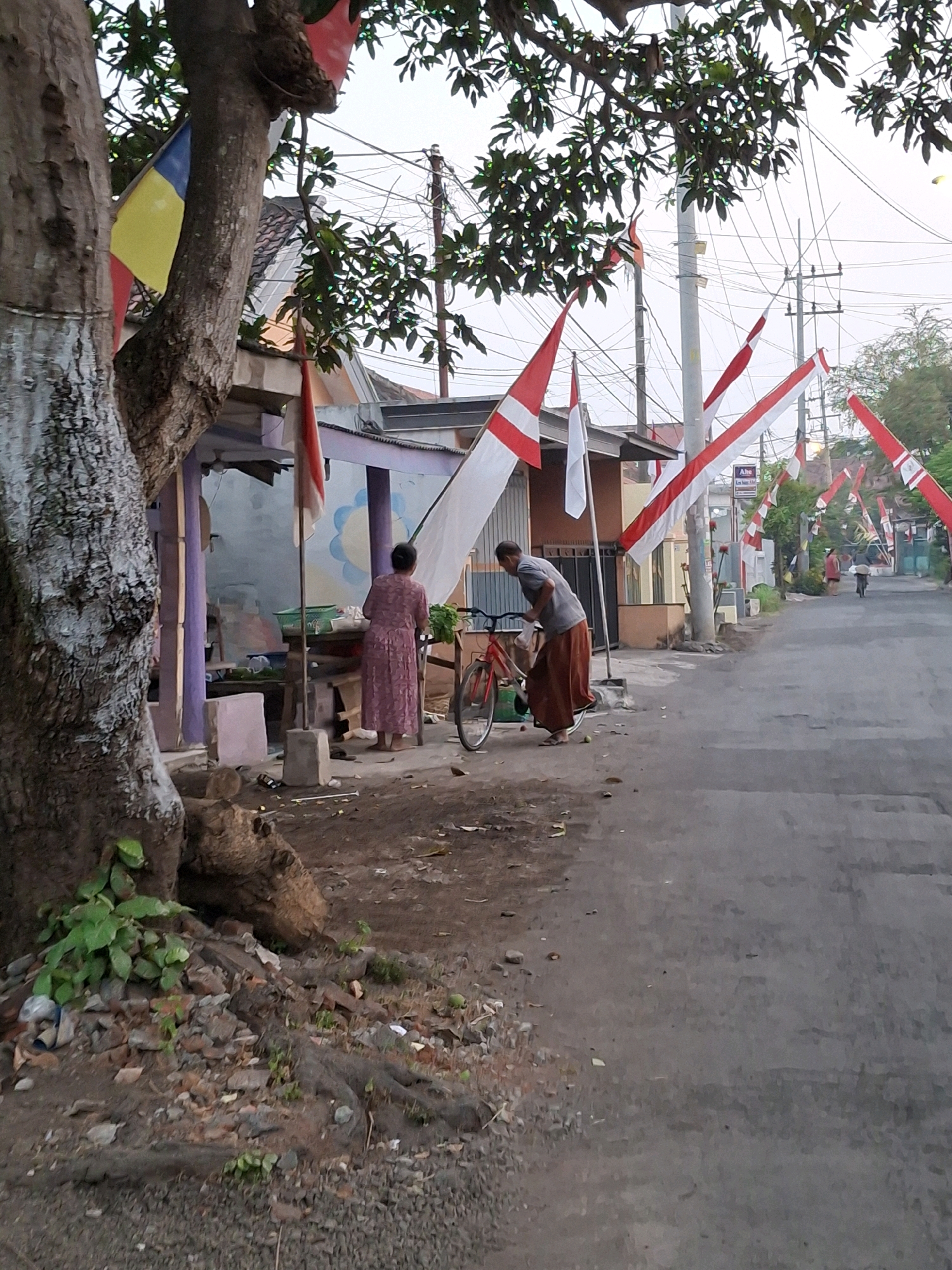 This is a medium-shot, eye-level, full color, vertical-format, outdoor photograph of a street scene in Lumajang, Indonesia. In the foreground, to the left, a large tree trunk with rough bark is visible. In the middle ground, a paved road runs from the foreground towards the background. On the left side of the road, a low-lying building with a purple-painted porch is situated. A person wearing a pink dress stands in front of the building, facing away from the camera. To the right of this person, a red bicycle is leaning against a table. Further down the road on the left, a person wearing a brown sarong and a grey shirt is bent over, interacting with the bicycle. Red and white striped flags are strung up along the road, on poles and on the sides of buildings, suggesting a festive or patriotic occasion. In the background, more buildings and utility poles are visible. The sky is overcast.