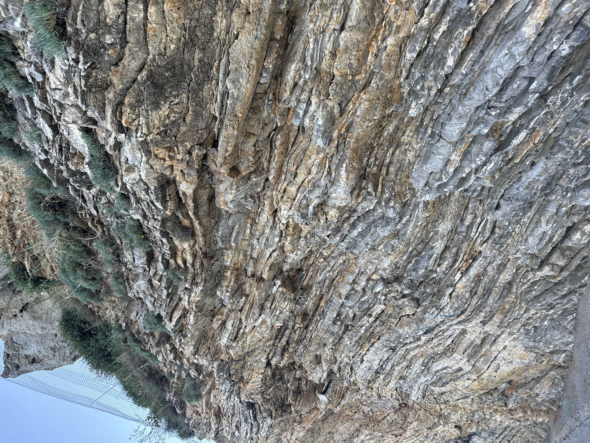 The image presents a geological formation, specifically a rock face, likely located in or near Budva, Montenegro. The rock is composed of sedimentary layers, with a tilted orientation. The colors range from gray to brown, indicative of different mineral compositions or weathering. Some green vegetation grows on the left side of the rock face. The lower left corner shows blue sky, a section of a metal safety net, and some vegetation. The rock appears to be a cliff formation, potentially a coastal or mountainous area.