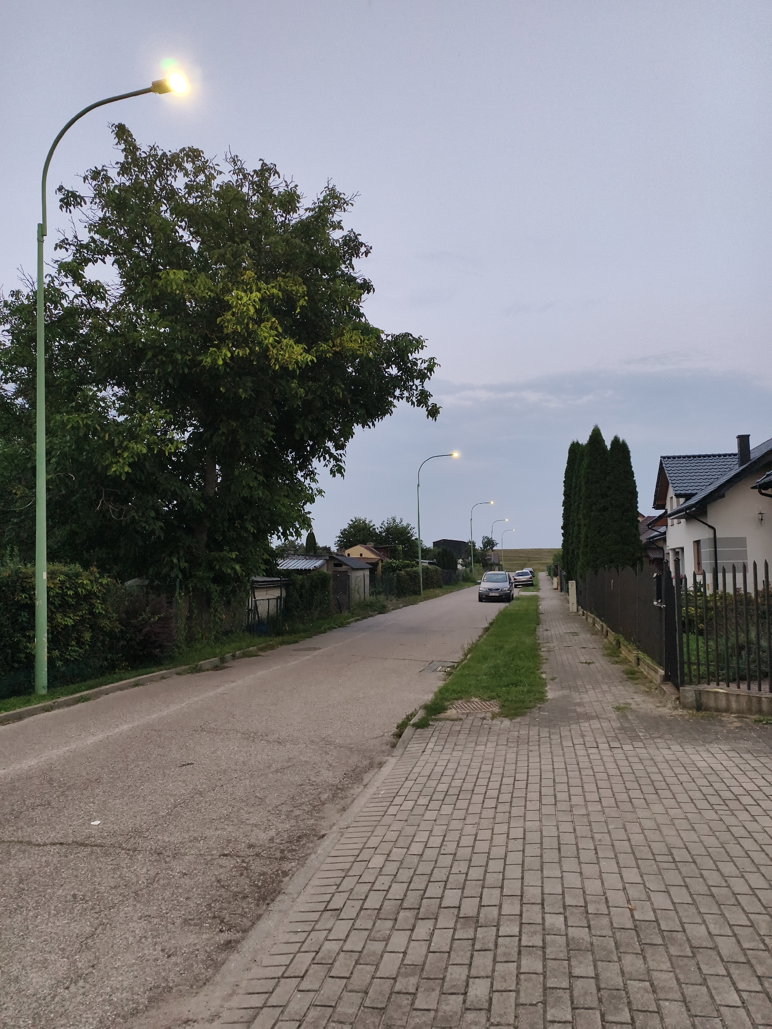 The image depicts a residential street in Tczew, Poland, at dusk. A paved road curves to the left, bordered by a sidewalk made of grey interlocking pavers. On the right side of the sidewalk, a black metal fence encloses a property with a white house and a dark-tiled roof. Tall, dark green coniferous trees are planted along the fence line. On the left side of the road, a tall green lamppost illuminates the scene, casting a yellow light. A large, leafy green tree stands prominently near the lamppost. Beyond the tree, a dense hedge and some outbuildings are visible. A few cars are parked or driving on the road in the distance. The sky is overcast and a pale grey.