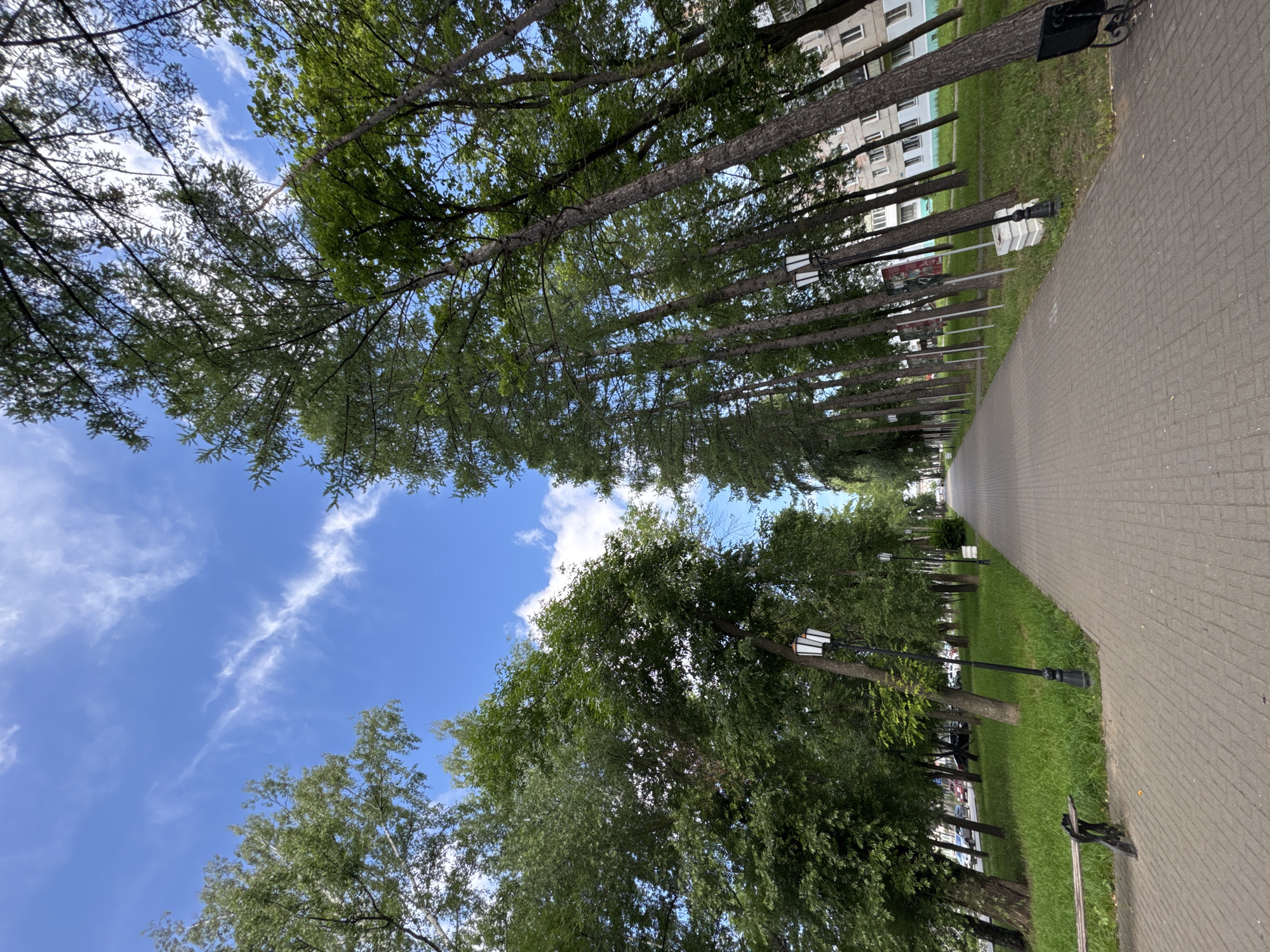 This is a low-angle, wide shot of a paved pathway in a park, likely located in Chaikovsky, Russia, given the architectural style of the building visible in the background. The pathway, constructed from interlocking grey pavers, extends into the distance, lined on both sides by tall, mature trees with lush green foliage. The trees on the right lean towards the pathway at an angle, creating a sense of depth and enclosure.
Along the left side of the pathway, a wooden bench with black metal legs is visible, partially shaded by trees. Further down the pathway on the left, a black lamppost with a white lantern is present. On the right side, several similar lampposts are spaced along the path, some with white lanterns. The grass bordering the pathway is a vibrant green and appears well-maintained.
In the background, on the right side of the image, a multi-story residential building with a light-colored facade and numerous windows is visible, suggesting an urban park setting. The sky above is a clear blue, dotted with wispy white clouds, indicating fair weather. The overall atmosphere is peaceful and serene, typical of a public park. No people are present in the image.