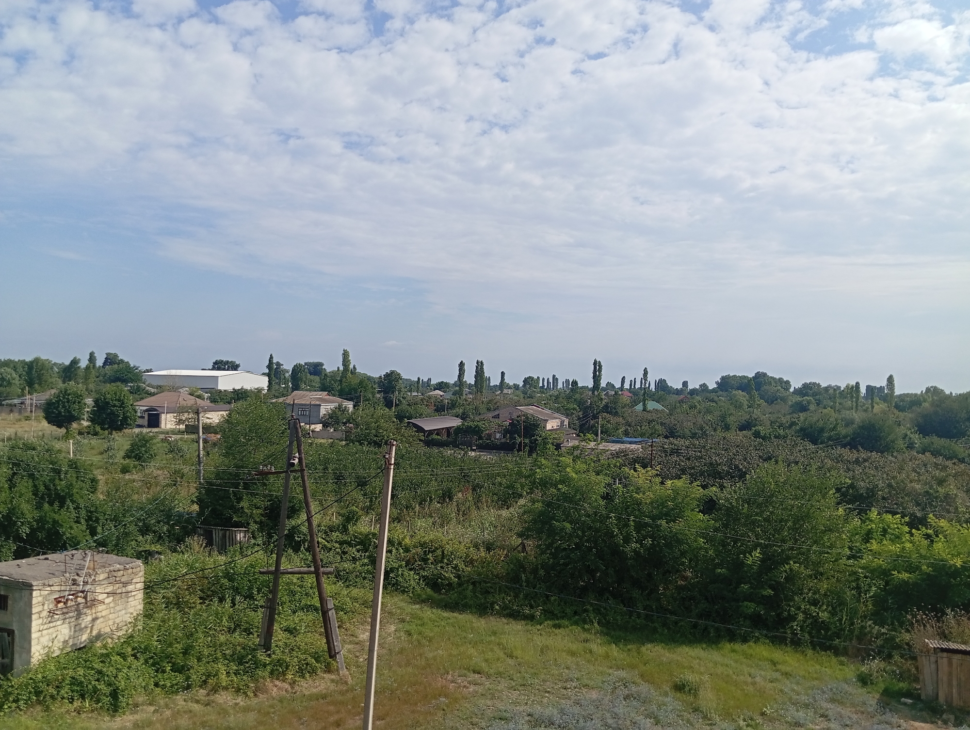 The image captures a landscape view of the city of Şirvanlı, Azerbaijan. The scene is dominated by a verdant, overgrown environment with various trees and vegetation. In the foreground, a dilapidated brick structure with a concrete roof and exposed rebar is visible on the left, with a wooden utility pole and supporting wires to its right. Further into the mid-ground, a collection of houses with sloped roofs are nestled amongst dense greenery, with more utility poles and wires crisscrossing the area. In the background, a distant row of tall, slender trees stands against a hazy sky filled with scattered white clouds. The overall impression is one of a rural or semi-rural setting that appears somewhat untended.