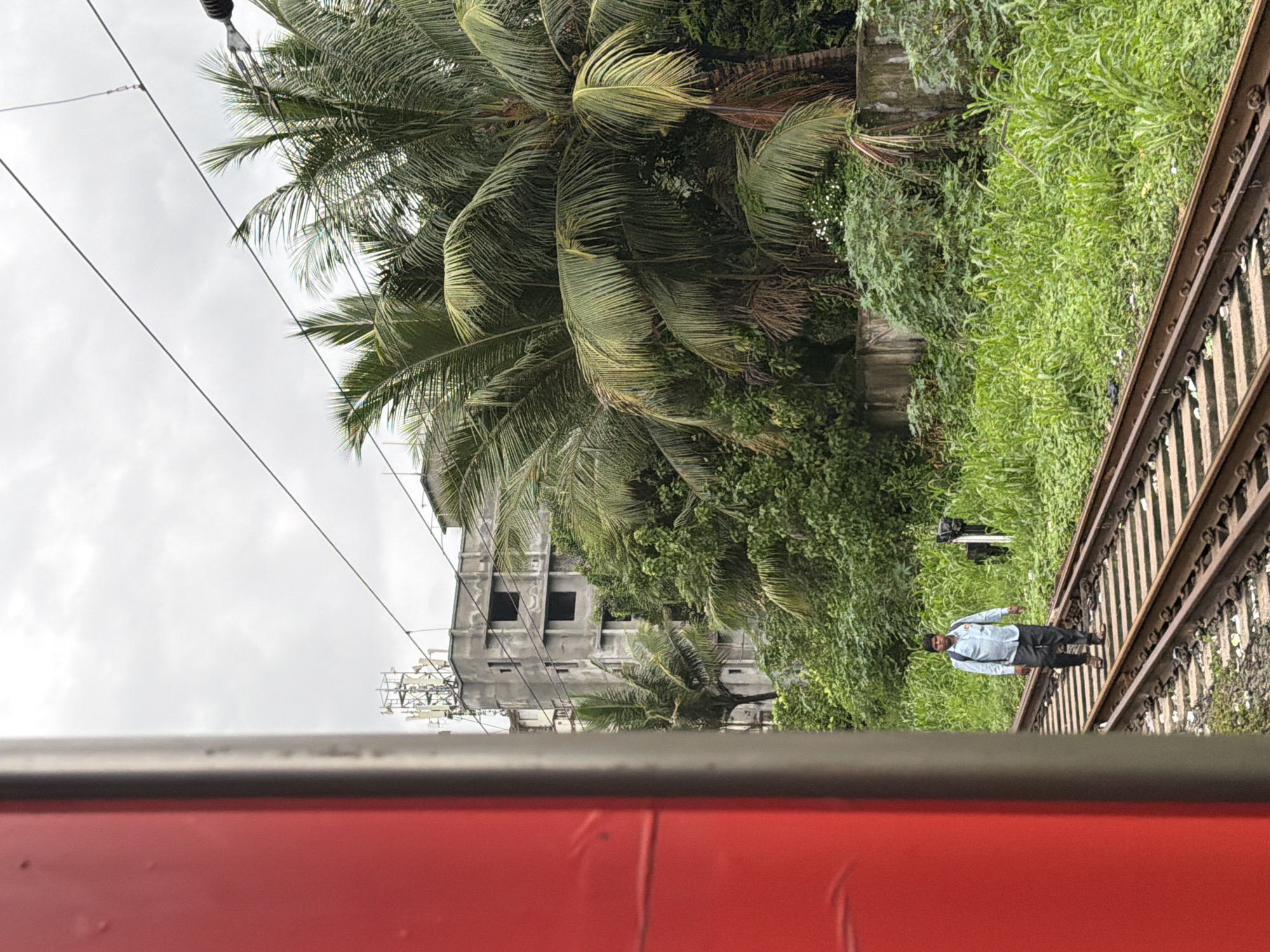 A man walks on railroad tracks in Vasai-Virar, India, with a bright red train car visible in the foreground. The man is wearing a light blue shirt, dark pants, and sandals, and carries a backpack. He is walking away from the camera on the right-hand set of tracks. Behind him, lush green vegetation and palm trees dominate the landscape, with a partially constructed concrete building with cell towers visible in the distance. The sky is overcast.