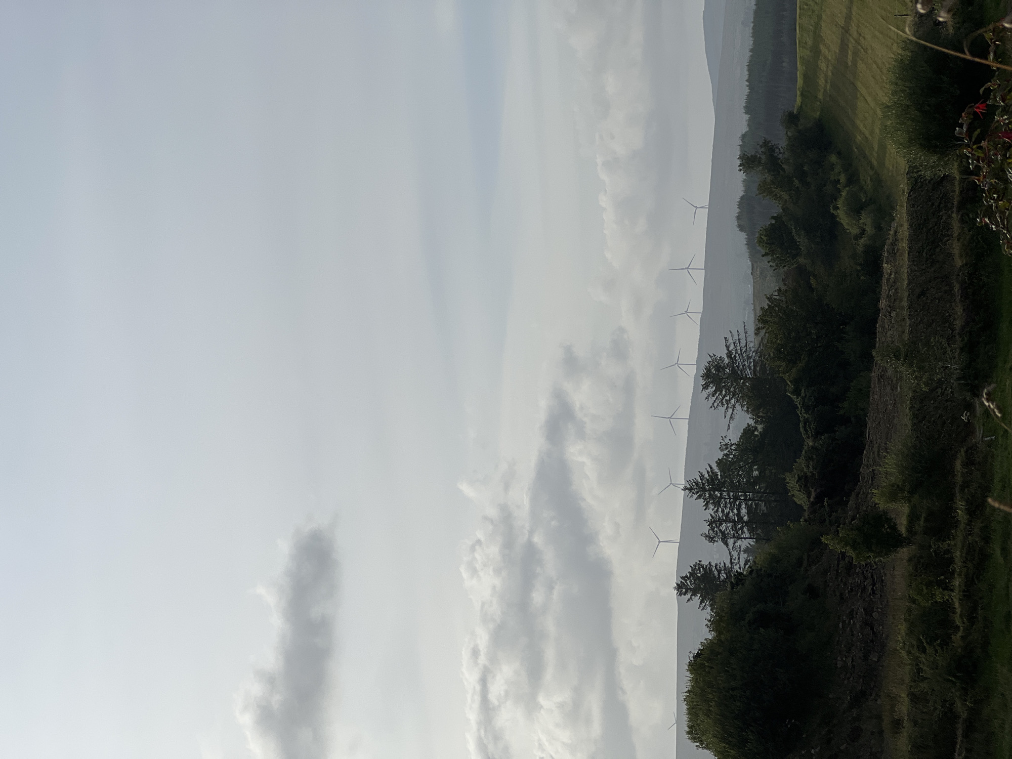 The image captures a landscape scene in Drimkeelan, Ireland, under a cloudy sky. In the foreground, a slope is covered with dark foliage and vegetation, with a patch of bare earth on the left side. A field with mown grass and diagonal shadows is visible in the mid-ground, to the right of the slope. Beyond the field, a line of trees forms a dark silhouette against the lighter background. In the distance, on a rolling hillside, several wind turbines are visible, their white structures stark against the grey sky and misty hills. The overall atmosphere is overcast, with diffused light. There are no people or animals present in the image, and no actions or interactions are depicted.