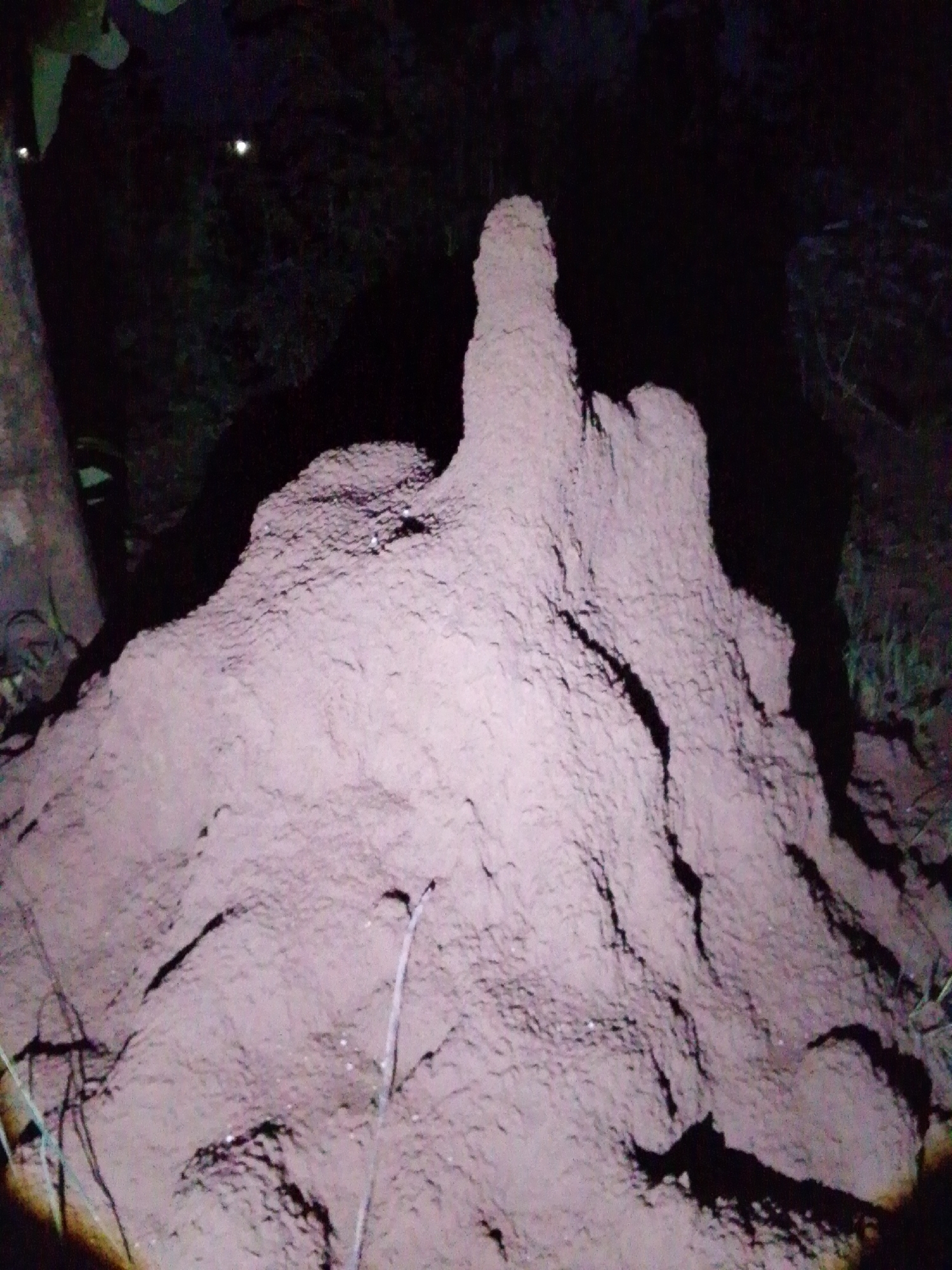 A termite mound, an earthen structure built by termites, is the central focus of the image. The mound is large and irregularly shaped, with textured surfaces and visible cracks and crevices. It appears to be constructed from reddish-brown soil. The surrounding environment is dark, suggesting it may be nighttime or a shaded area. A portion of a tree trunk is visible on the left side of the frame, and some sparse vegetation can be seen in the background and on the right. The image does not depict any people or actions. The location in Serti, Nigeria, indicates a natural or semi-natural setting.