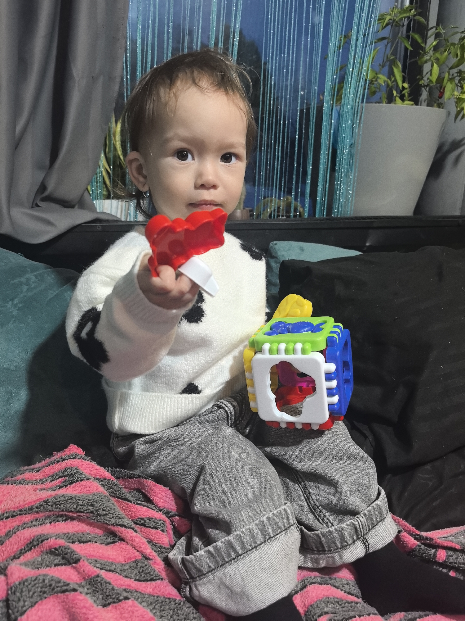 A young child, approximately a toddler, is depicted seated indoors, looking directly forward. The child has light brown hair and dark eyes, wearing a white long-sleeved sweater with black patterns and grey denim jeans. Small silver hoop earrings are visible in both ears. The child holds a red plastic toy in the right hand and a multi-colored shape-sorting cube in the left hand. The cube features blue, green, white, and yellow elements with various cutouts and shapes. The child is positioned on a dark surface, partially covered by a pink and grey striped fuzzy blanket. Behind the child are dark teal and black cushions. In the background, a window is partially obscured by a grey curtain on the left and blue decorative string or beaded curtains on the right. A light grey potted plant with green leaves and small red berries or peppers is visible through the blue decorative strands on the right. The specific location within Noviy, Russia, cannot be determined from the visual information provided.