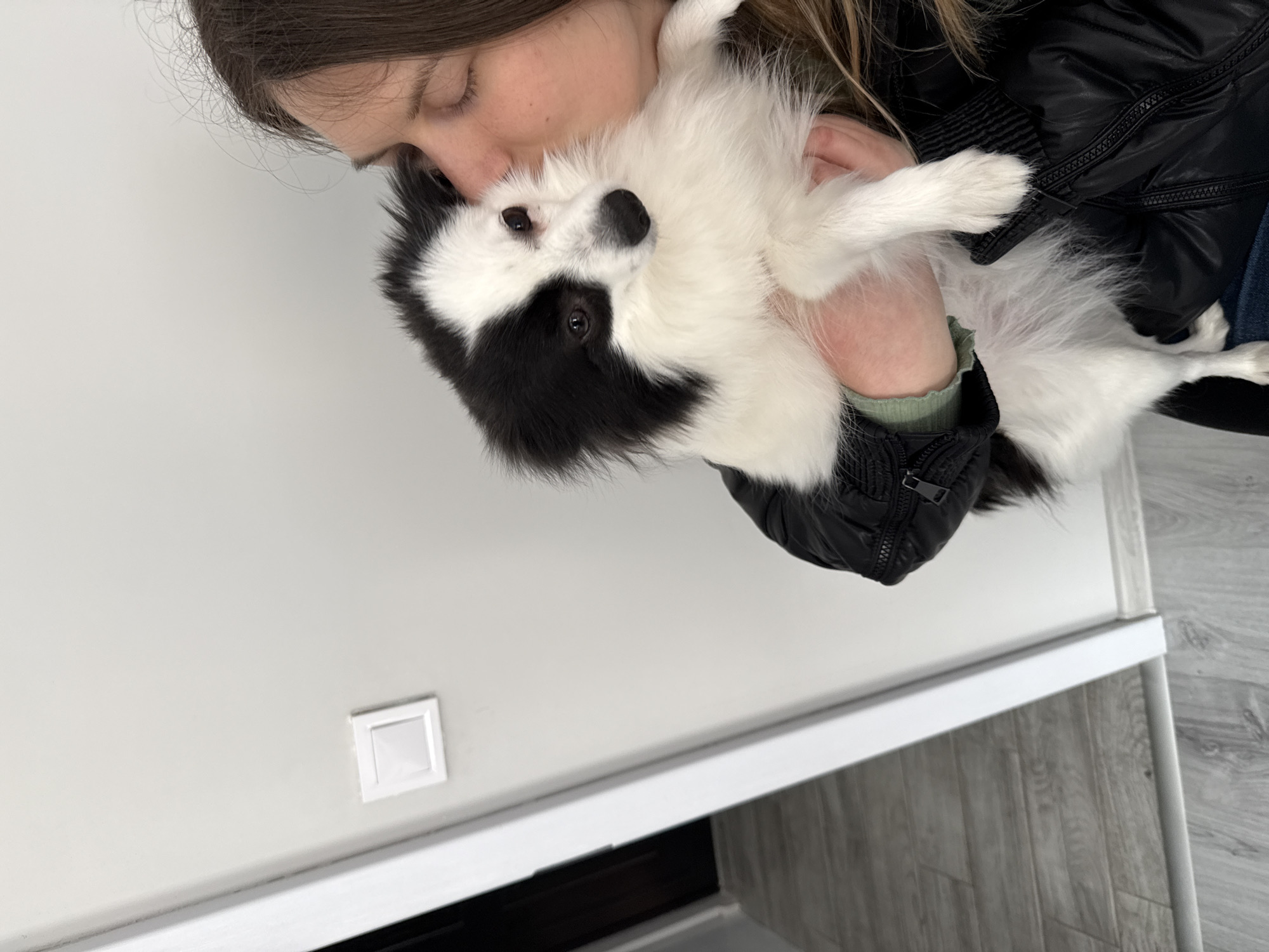 A woman is holding a black and white, fluffy dog close to her face. The dog is looking at the camera. The woman has dark hair and is wearing a black jacket. The background is a white wall with a light switch and a white molding above a gray, wood-look floor. The location is most likely indoors, in a residence or building in Stara Zagora, Bulgaria.