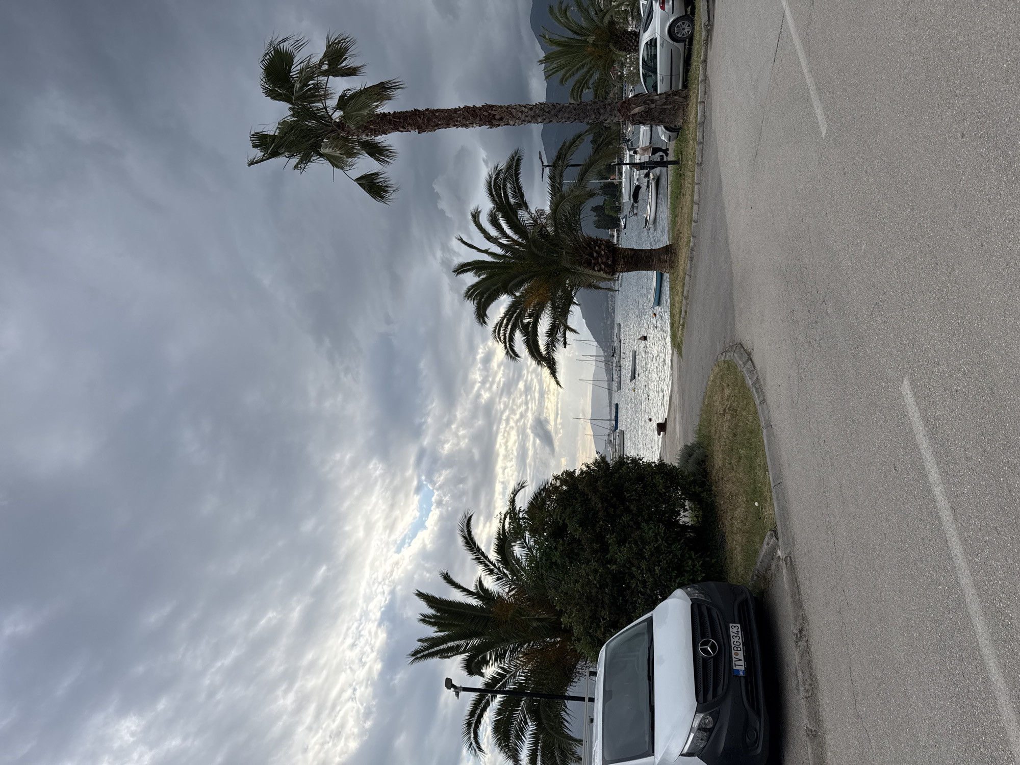The image shows a cloudy, overcast day in Tivat, Montenegro, along a coastal road adjacent to the Bay of Kotor. Palm trees line the road, and several boats are visible in the bay. A white van is parked on the right side of the road. In the background are some mountains covered by low-hanging clouds.