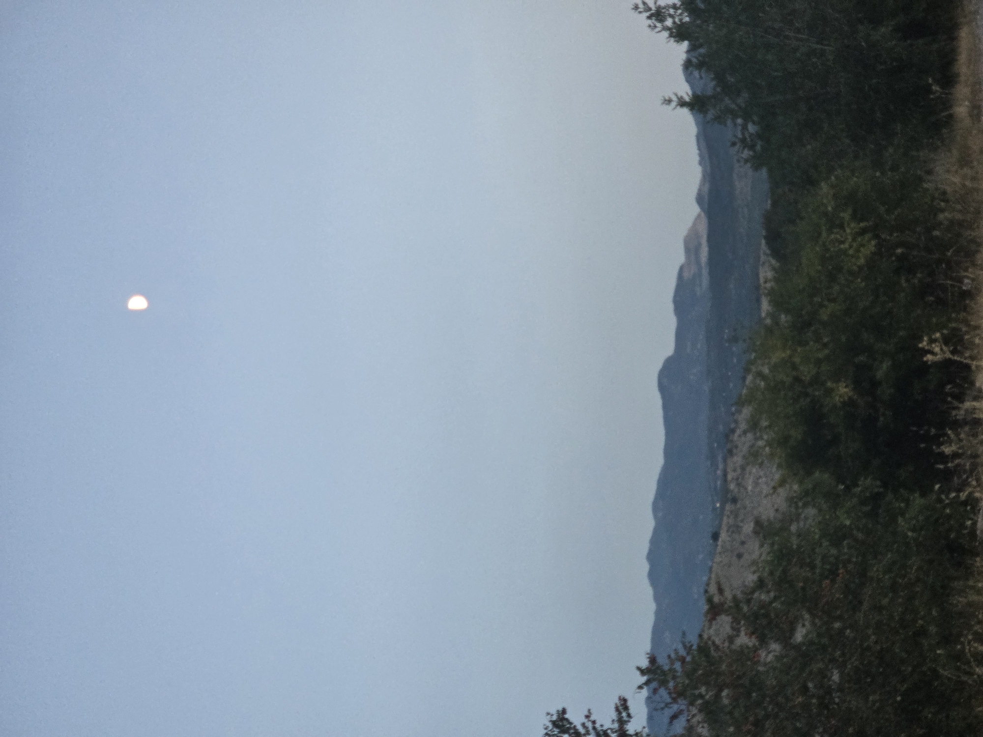 The image depicts a twilight scene with a pale blue sky. A crescent moon is visible in the upper right quadrant of the sky. In the foreground, there are dark green trees and shrubs. Behind the vegetation, a landscape of rolling hills and mountains stretches across the horizon, with a lighter, scrub-covered hill in the middle ground. The overall atmosphere is serene and natural, suggesting an outdoor setting. There are no people or man-made structures readily apparent in the image, except for what might be very distant, small lights on the distant hills.