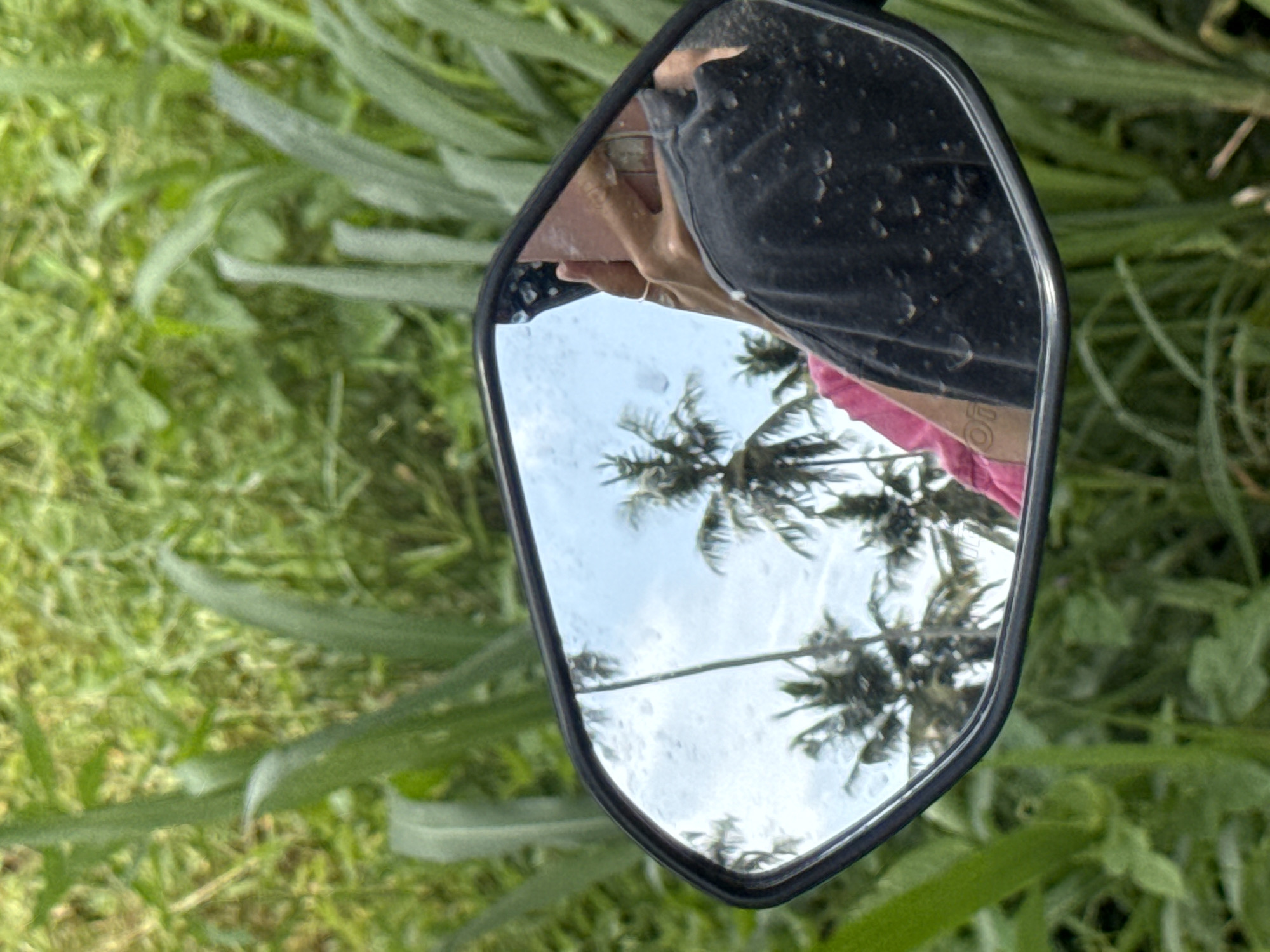 A side mirror of a vehicle, reflecting a person's face, palm trees, and a cloudy sky, is positioned against a backdrop of tall grass. The image appears to be taken outdoors in Thiththagalla, Sri Lanka, based on the tropical vegetation. The person in the mirror is wearing a dark-colored shirt with water spots, and the grass is a vibrant green.
