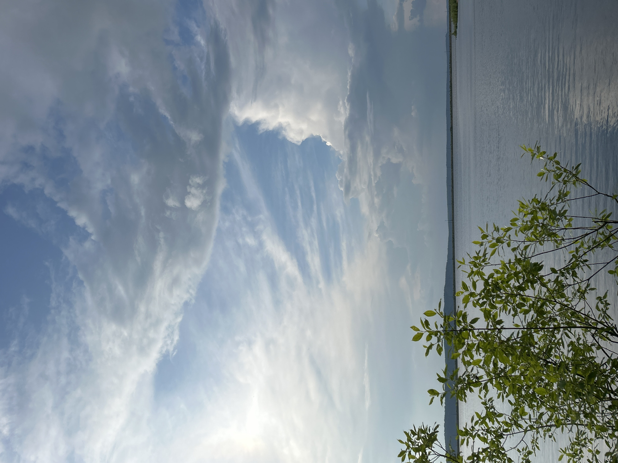 The image depicts a body of water, likely a river or reservoir, with a tree in the foreground. The sky above is filled with dynamic clouds, ranging from light and wispy cirrus to heavier, cumulonimbus formations. The overall impression is of a natural landscape under a dramatic sky. This scene is located in Chaikovsky, Russia, possibly along the Kama River, a significant waterway in the region. There are no people or specific objects that would indicate a distinct activity or event within the frame.