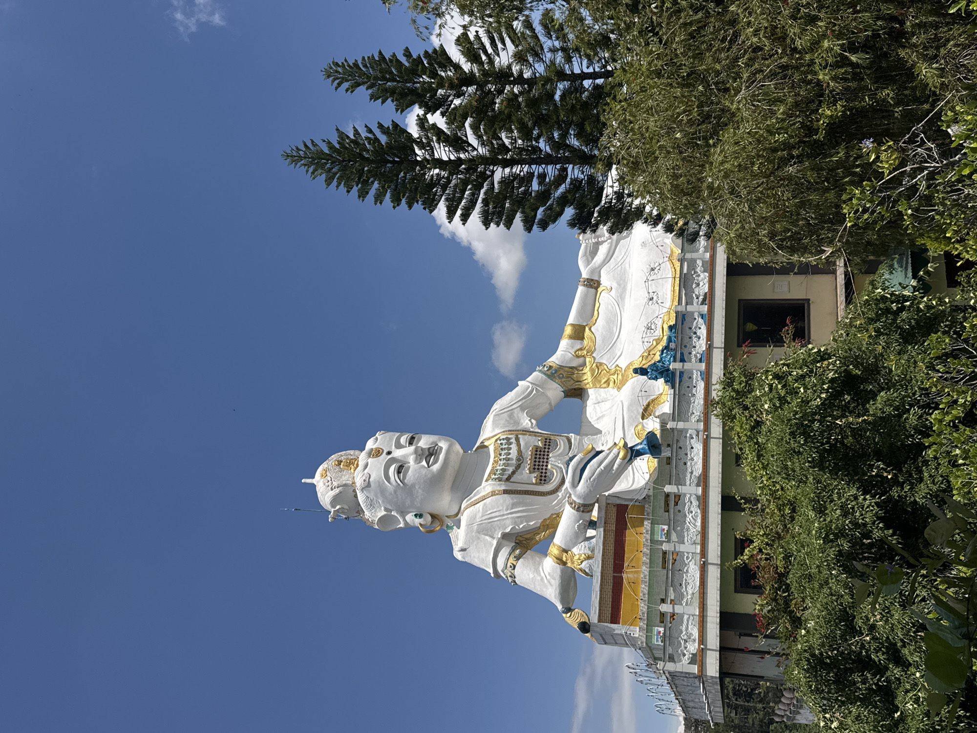 The image shows a colossal white statue of Guan Yin, the goddess of mercy, seated in a contemplative pose. The statue is adorned with intricate gold detailing on its robes and headdress. It is situated atop a multi-story structure, likely a temple or monastery, which is surrounded by lush green foliage. Two tall pine trees stand to the right of the statue, their dark green needles contrasting with the bright blue sky and scattered white clouds. The statue is positioned at the Linh An Pagoda in Da Lat, Vietnam, a popular tourist destination known for its spiritual sites and natural beauty. The weather appears to be clear and sunny, indicating a pleasant day.