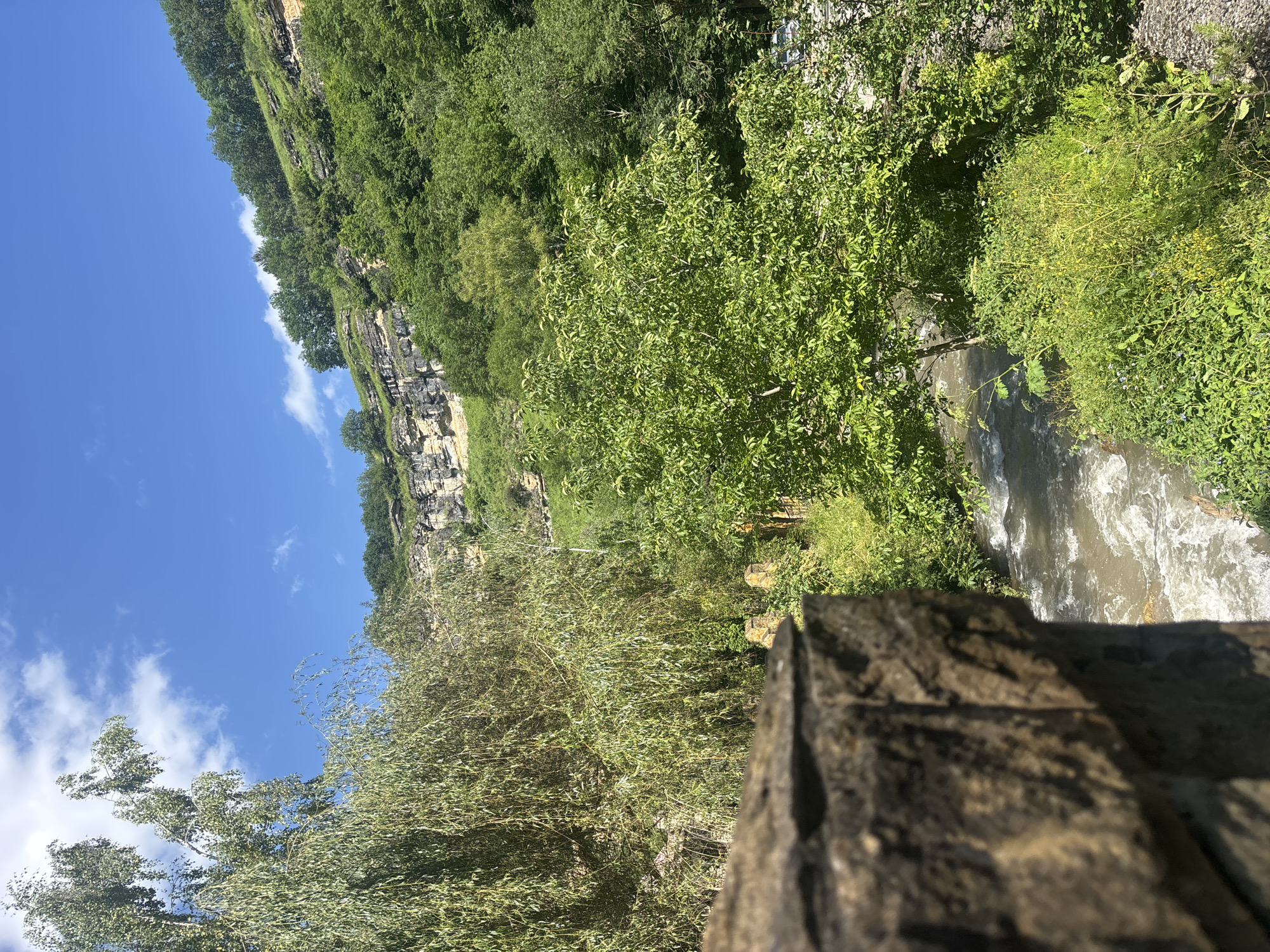 The image depicts a picturesque natural scene, likely a scenic viewpoint in Kislovodsk, Russia, given the context. In the foreground, a rough-hewn stone structure, possibly part of a bridge or retaining wall, is prominently displayed and out of focus. Beyond this, a fast-flowing river cuts through lush greenery. The river's water appears muddy and turbulent, suggesting a rapid current. The banks of the river are densely populated with various plants and trees, forming a thick, vibrant vegetative cover. In the middle ground, a large, weeping willow-like tree with cascading branches dominates the left side of the frame. To its right, a canopy of bright green leaves from another tree is visible. In the background, a steep, rocky cliff face rises, covered in patches of green vegetation and showing distinct layers of sedimentary rock. The top of the cliff is crowned with a dense forest of green trees. The sky above is a clear, bright blue, punctuated by a few wispy white clouds, indicating a sunny day. No people are visible in the frame. The scene is one of serene natural beauty, characterized by the contrast between the rugged stone, the flowing water, and the abundant, verdant foliage.