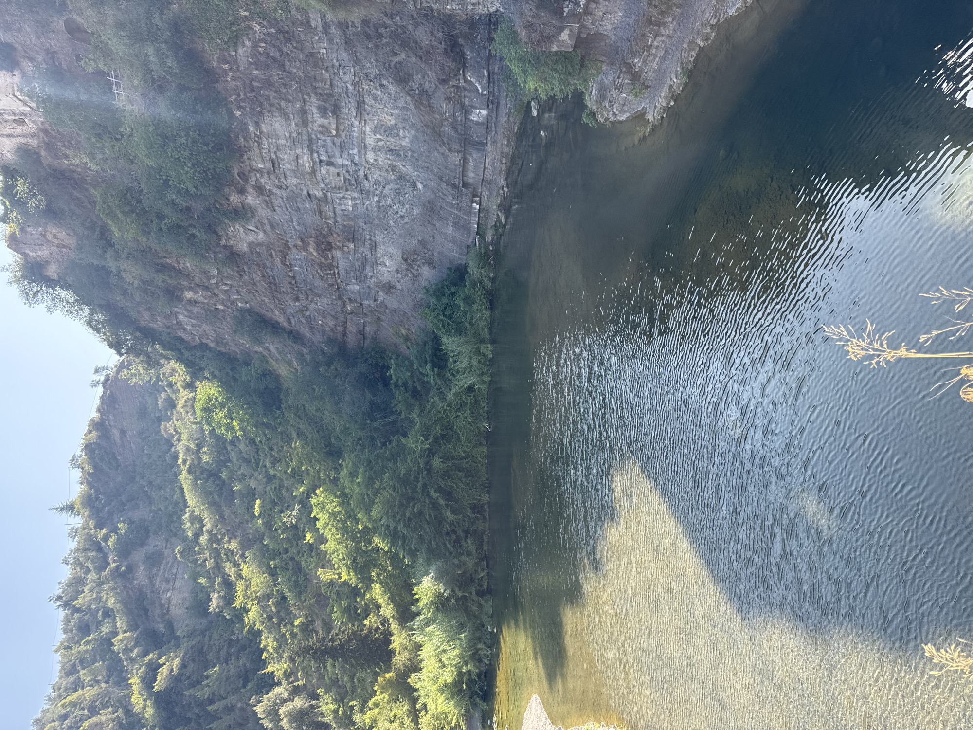 The image shows a river flowing through a natural gorge. The river has clear, shallow water on the left, revealing the rocky bottom, and deeper, darker water on the right. Steep, vegetated cliffs rise on both sides of the river. The left cliff is covered in dense green foliage and trees, with a rugged, layered rock face visible in places. The right cliff is a sheer rock wall, with stratified layers of grey rock and sparse vegetation growing from crevices. The sky is clear and blue. The scene suggests a remote, natural landscape, likely a protected area or park, consistent with the description of Dolceacqua, Italy.