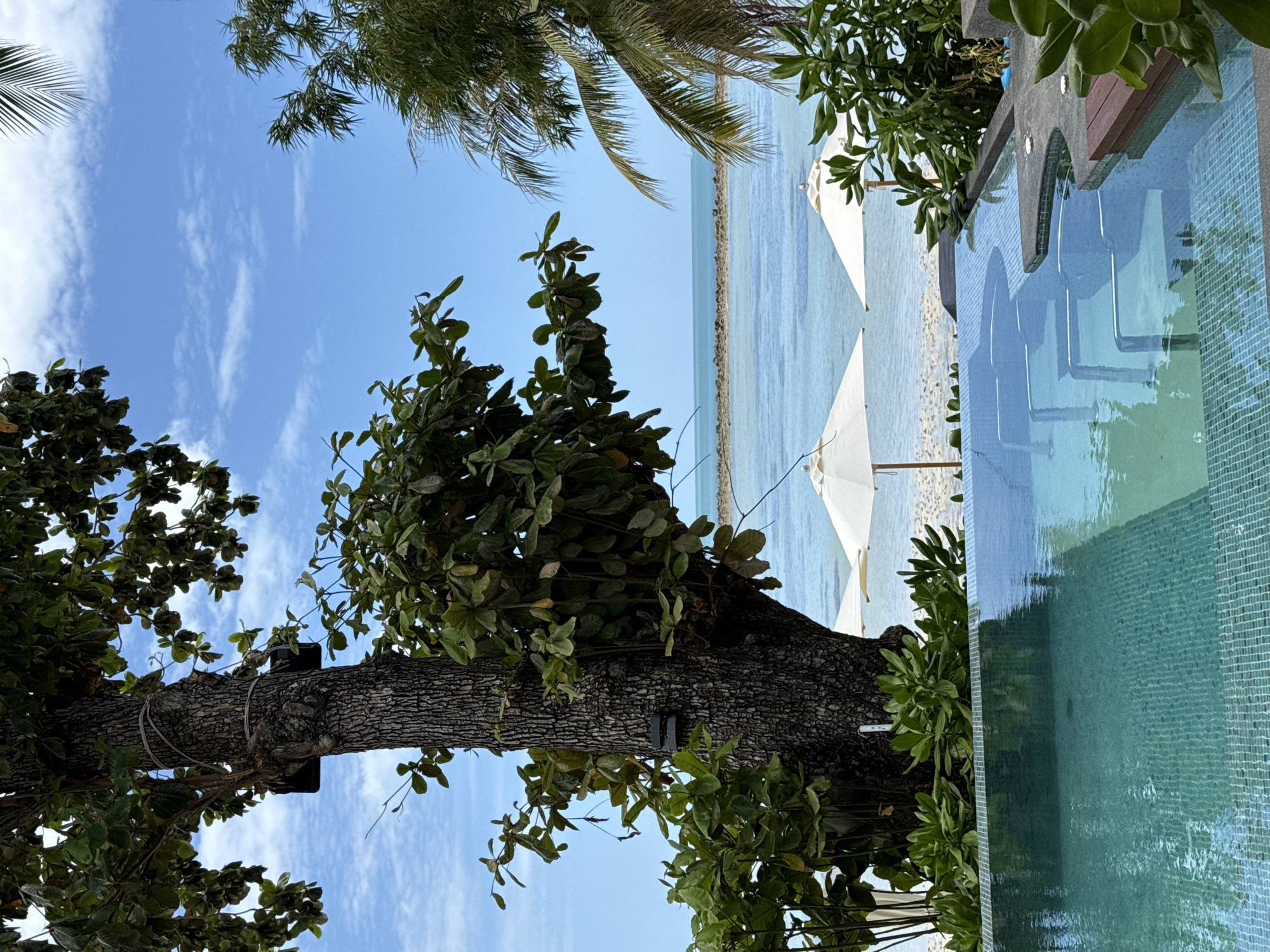 This image shows a view of a tropical beach scene in Koh Samui District, Thailand, from the edge of an infinity pool. In the foreground, the turquoise tiled edge of the pool is visible, with steps leading down into the water. Beyond the pool, a sandy beach is lined with white umbrellas and lounge chairs. The ocean stretches out to the horizon, with a rocky breakwater visible in the distance. Lush green trees and palm fronds frame the view, creating a sense of privacy and natural beauty. The sky is a clear blue with a few wispy clouds. The overall atmosphere is serene and inviting, suggesting a luxurious vacation setting.