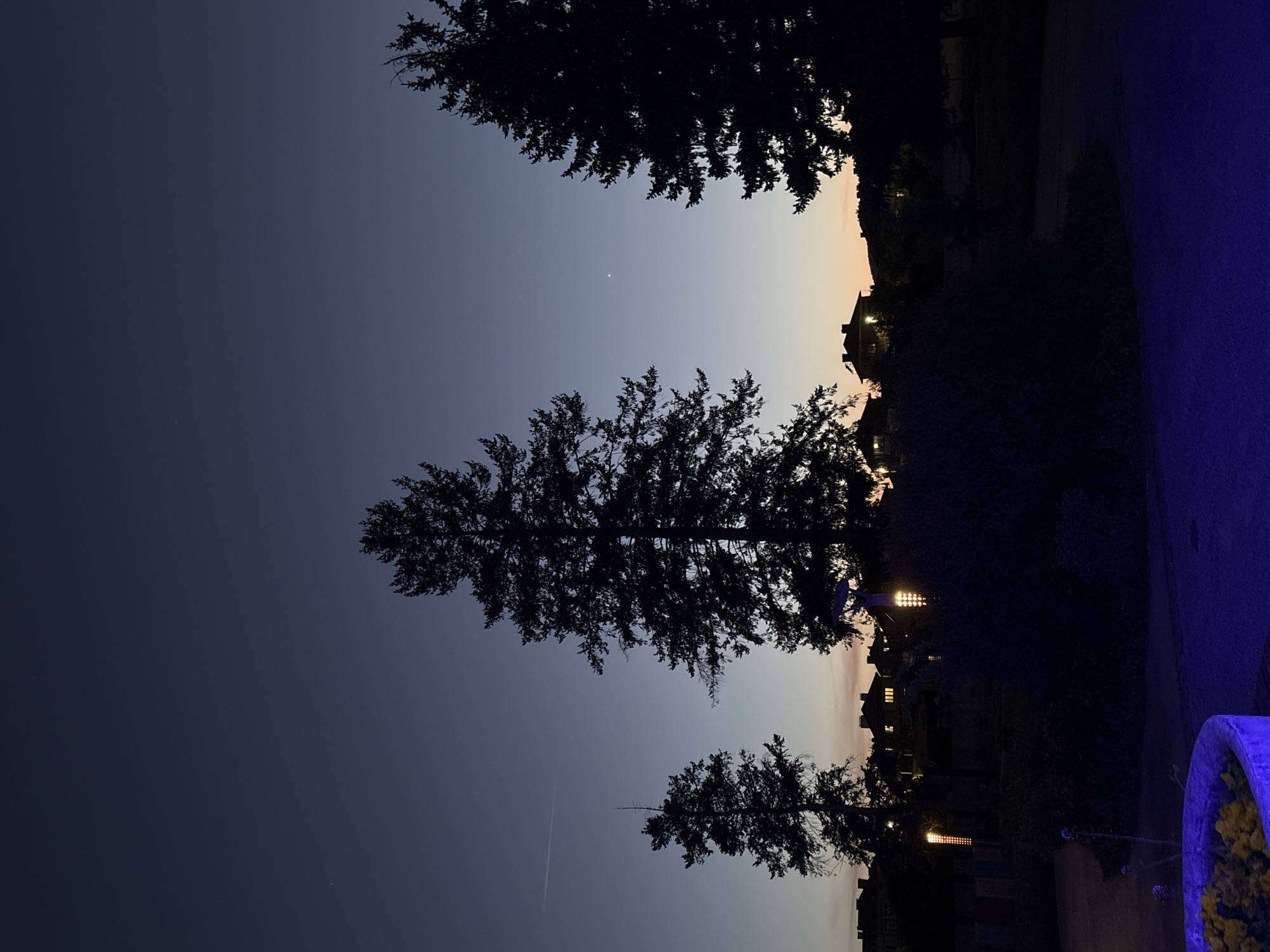 Here's a detailed description of the image:
The image captures a twilight scene, with the sky transitioning from a deep blue at the top to a lighter orange hue near the horizon. Silhouetted trees dominate the foreground, their dark shapes contrasting against the sky. The middle tree is taller and thicker than the two trees above and below. There appears to be a star visible in the sky, alongside the contrail of a plane.
Below the trees, the outlines of buildings and structures are discernible, illuminated by scattered lights. A flower pot, lit by a blue light, is visible on the far right.
Without any additional information or contextual cues in the image, determining the exact location in Panagyurishte, Bulgaria, is difficult. Further detail is needed.