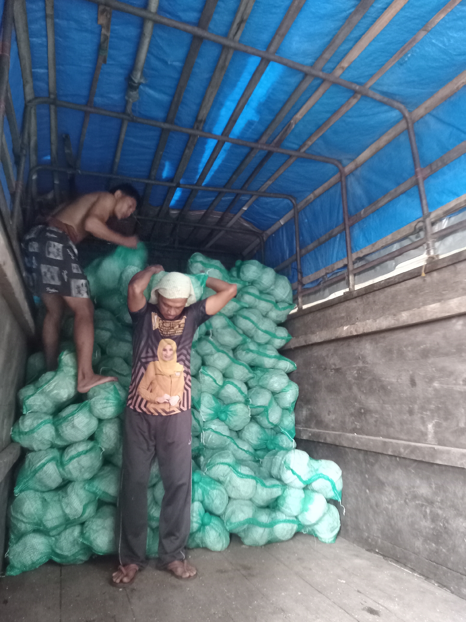 In a truck bed in Sunggal, Indonesia, two men are seen working amidst a large quantity of green mesh sacks filled with produce. The truck is covered with a blue tarp supported by a wooden and metal frame.
In the background, a shirtless man wearing patterned shorts is leaning over, handling a sack. In the foreground, a man wearing a dark t-shirt with a graphic of a woman in a headscarf and a light-colored head covering is standing, holding a sack on his head. He is wearing dark pants and flip-flops. The sacks of produce are piled high, filling most of the truck bed. The overall scene suggests manual labor and the transport of goods.