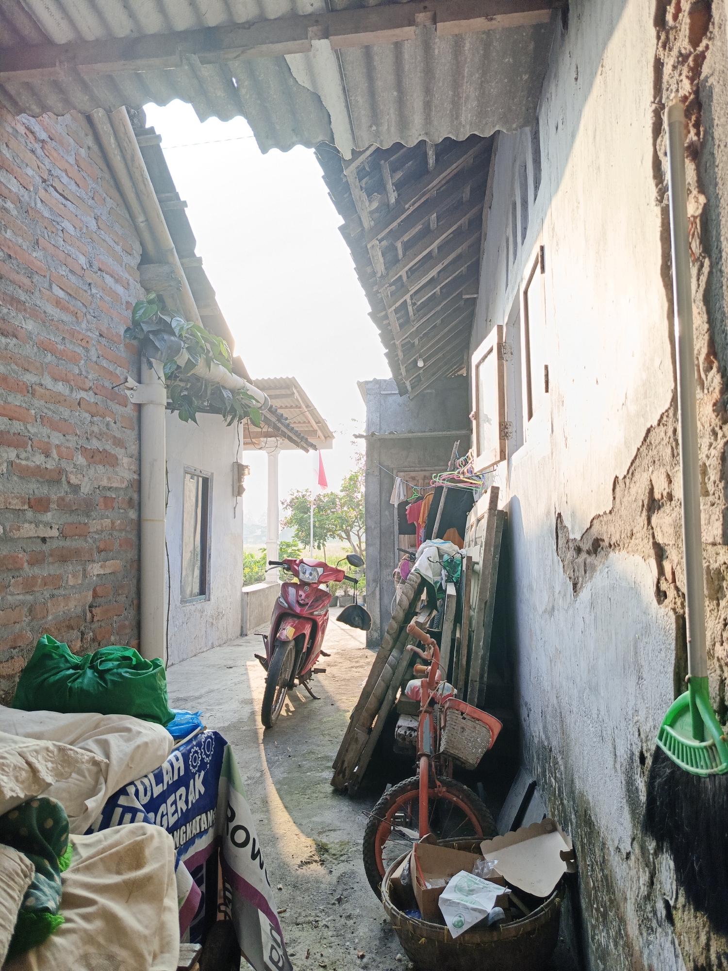 The image depicts a narrow alleyway between two buildings, likely in the city of Rowokangkung, Indonesia. Sunlight streams in from the top, casting long shadows. On the left, a brick wall is visible, with a white pipe running down its side, supporting green foliage. A red motorcycle is parked in the alley, facing away from the viewer. To the right, a white-walled building shows signs of wear and tear, with large patches of plaster missing. Leaning against this wall are various objects, including wooden planks, a basket filled with refuse, and a child's bicycle. A green broom is also attached to the wall. In the foreground, to the left, a pile of white and green fabric is stacked, along with a blue and white banner. The background reveals more of the white building, with windows and a doorway, and beyond that, trees and a hint of a rural landscape. The overall impression is one of a humble, possibly cluttered, outdoor living or storage space. There are no people visible in the image.