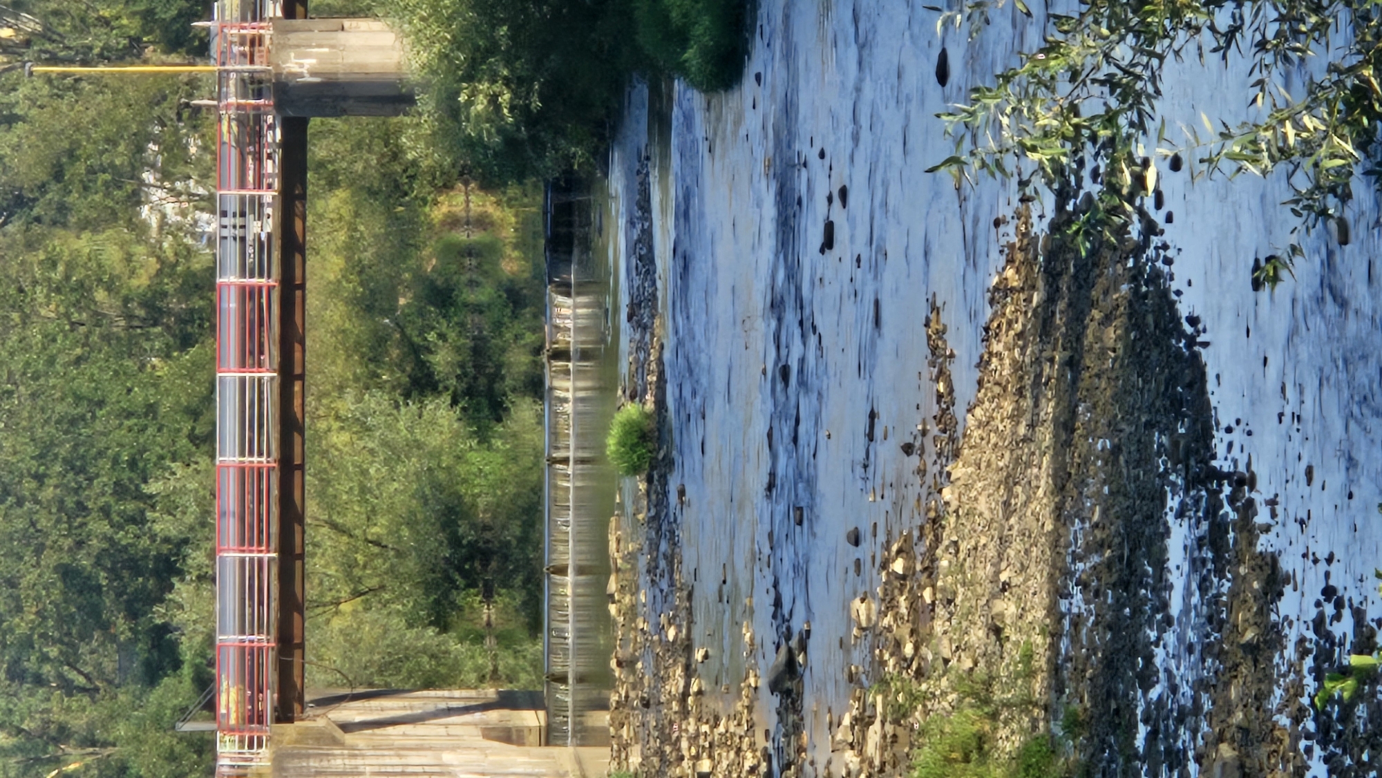 The image depicts a river flowing through a forested area. A concrete bridge with a red and white railing spans the river in the background. The riverbed is rocky and shallow, with visible stones and pebbles. Green vegetation lines the banks of the river and fills the background. The scene appears to be set in a natural environment, likely a park or a rural area. The lighting suggests it is daytime, with the sun casting shadows on the water and rocks.