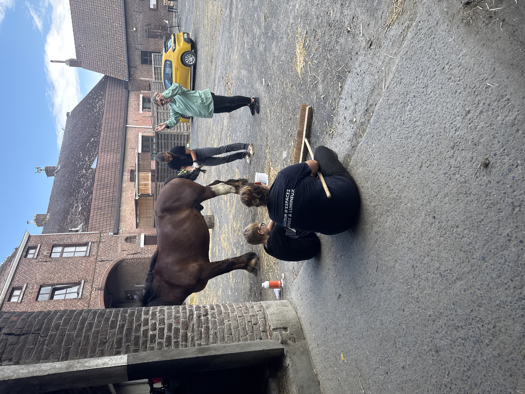 In Estaimpuis, Belgium, a brown horse stands in a courtyard. A young person with glasses, dressed in a black t-shirt, sits on the ground next to a pile of straw. Another person, wearing a dark t-shirt with white text, sits on the ground facing away from the camera, with a broom and a stick in front of them. A third person, in a green jacket and black pants, stands with their arms raised, facing a yellow car parked in the background. Another person, wearing a black t-shirt, is attending to the horse's tail. The courtyard is surrounded by brick buildings and has a gravel and asphalt surface.