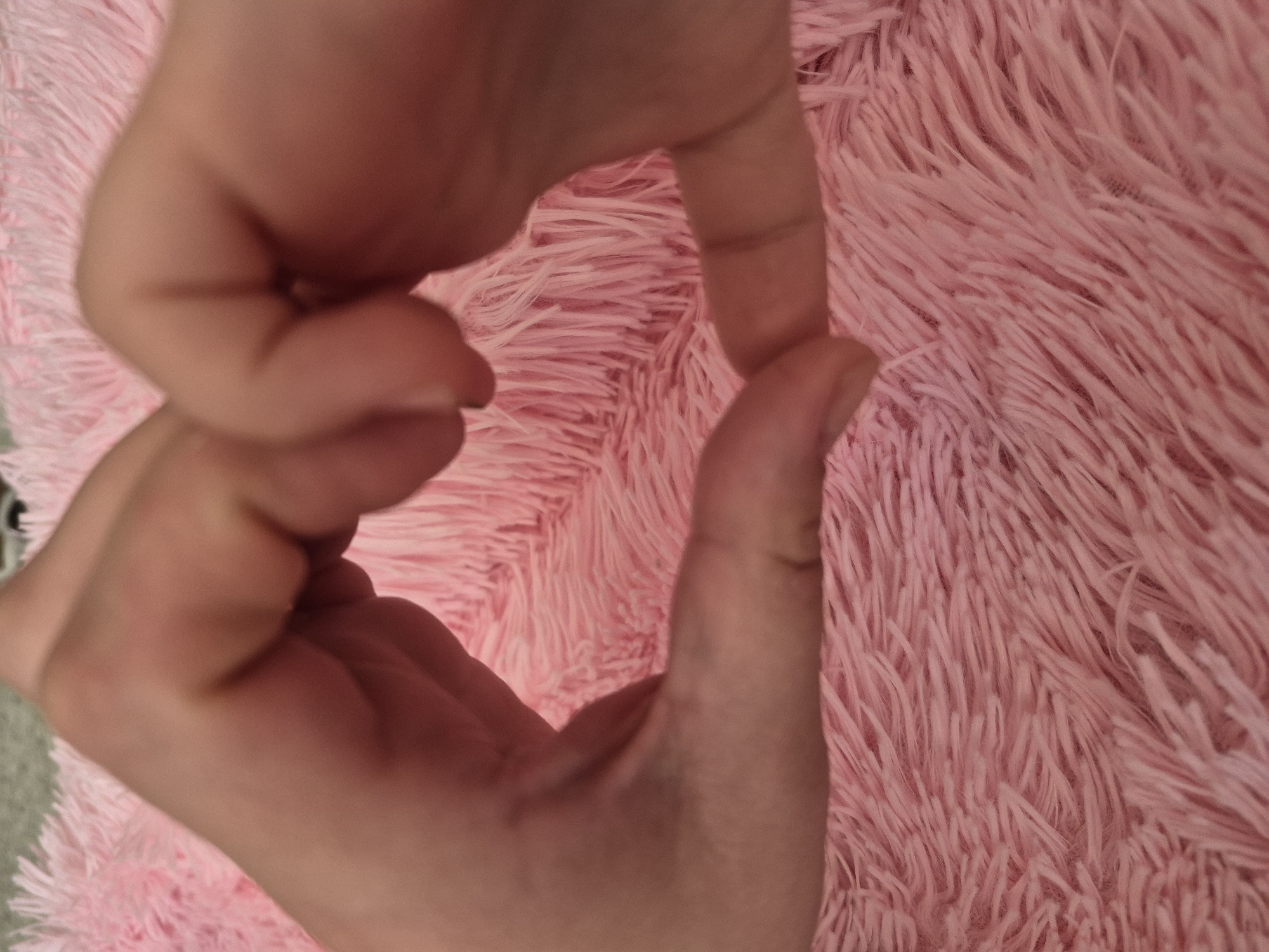 The image displays two light-skinned hands forming a symbolic gesture against a soft, fluffy pink background. The hands are positioned to create a heart-like shape, with the fingertips of the index fingers and thumbs of both hands meeting or nearly meeting at the top center of the frame. The wrists and lower parts of the hands extend downwards and outwards, framing an empty space in the middle. The background is a dense, shaggy fabric with long, fine pink fibers, suggesting a plush blanket, rug, or similar soft textile. The lighting is gentle, illuminating the skin tone and the texture of the fabric. The gesture made by the hands typically conveys feelings of love or affection. There are no specific time-of-day indicators, weather cues, or visible text. The broader context for the image is Tobolsk, Russia, but no explicit geographical or cultural elements from this location are depicted within the frame.