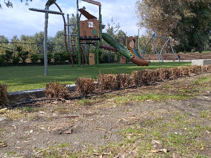 The image depicts an unoccupied outdoor playground located in the city of Gytheio Municipal Unit, Greece, under a partly cloudy daytime sky. In the immediate foreground, a dirt path with scattered dry leaves and sparse green shoots transitions into a line of closely cut, dry, brown hedges, approximately 0.5 meters tall, with a black irrigation hose running along their base. These hedges border a light grey concrete curb. Beyond the curb, the primary play area consists of a vibrant green surface, consistent with artificial turf or very short grass.
The background features various playground structures and natural elements. To the left, a tall, slender grey metal pole with a curved top stands on the green surface, possibly a light fixture. Behind it, a chain-link fence is visible, followed by a dense line of green trees and bushes. In the center, a multi-component playground structure includes a brown, multi-level tower resembling a treehouse, featuring a cut-out window. This tower is connected to a green enclosed slide and a lower, open brown slide. A climbing net is also integrated into the structure. To the right, a set of grey metal swing frames is visible, with no seats attached. Behind the swings, a low wooden fence or barrier runs horizontally. Further to the right, a large tree with light brown and green foliage stands, casting some shadow. No individuals are present in the scene, and no specific actions or interactions are occurring.