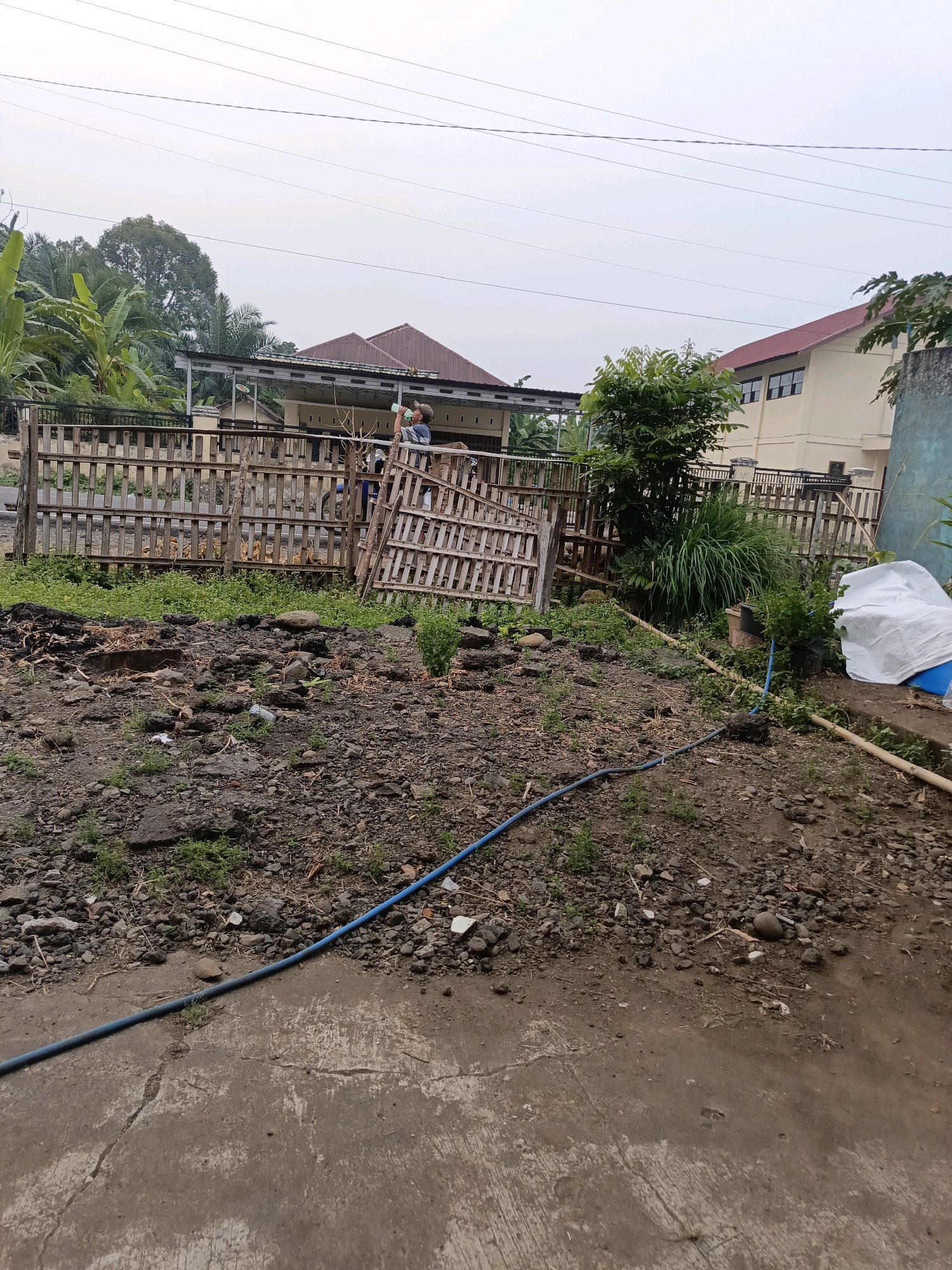 The image depicts an outdoor scene, likely in the city of Ulak Tanding, Indonesia, with a focus on a yard and its surrounding elements. In the foreground, a rough, unpaved ground is visible, strewn with rocks, debris, and patches of sparse green vegetation. A blue hose snakes across this area and onto a cracked concrete surface.
Behind this, a rustic wooden fence, constructed from what appear to be pallet wood, forms a boundary. A figure, wearing a hat and a striped shirt, is partially visible near the fence, holding a light-colored object and appearing to drink from it. Behind the fence, more greenery and trees are present, with banana trees being noticeable.
Further in the background, several buildings are visible. One is a long, low structure with a pitched roof, possibly a carport or workshop, with a metal roof extension. Adjacent to this is a larger, two-story building with a red-tiled roof and cream-colored walls, featuring multiple windows. The sky is overcast. The overall impression is of a somewhat unkempt but functional outdoor space.