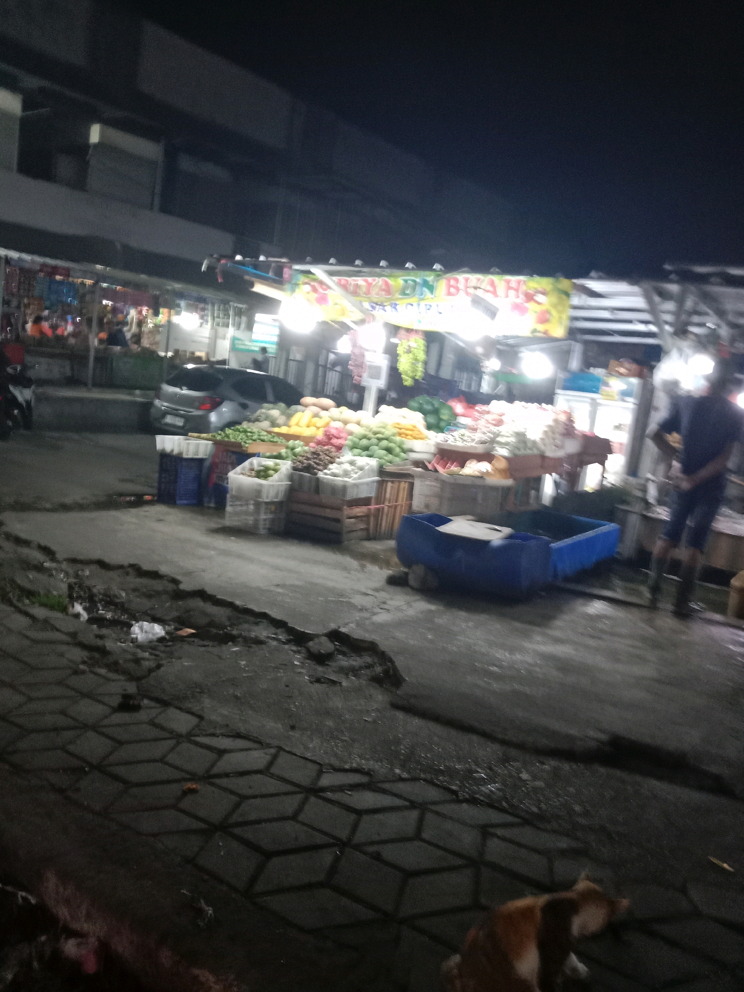 The image depicts an outdoor market at night, located on a street in South Tangerang, Indonesia. The scene shows various stalls laden with fruits and vegetables, illuminated by overhead lights. A few individuals are visible, including a person standing near a stall of produce, appearing to be a vendor or customer, and another person in the background near a building. A car is parked on the street, and motorcycles are also present. The ground is paved with interlocking blocks, with some sections appearing cracked or uneven. The overall environment suggests a bustling marketplace, possibly a night market, with an emphasis on fresh produce. A cat is visible lying on the ground in the foreground, in the lower right quadrant of the image.