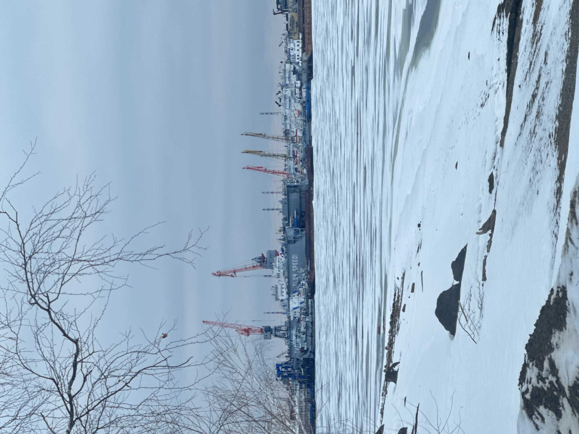 The image depicts a winter scene, possibly a frozen riverbank in the city of Chaikovsky, Russia. In the foreground, bare tree branches are visible against a cloudy sky. A layer of snow covers the ground. Adjacent to the frozen water is a shoreline with rocks and snow.
In the background across the river, a port with cargo ships and cranes is present. The side of a ship with the words "SLOW SPEED!" on its side can be seen. The ships are lined up along the wharf, and several cranes, colored red and yellow, are positioned for loading and unloading cargo. The city of Chaikovsky is visible in the far background. The overall scene is cold and wintry.