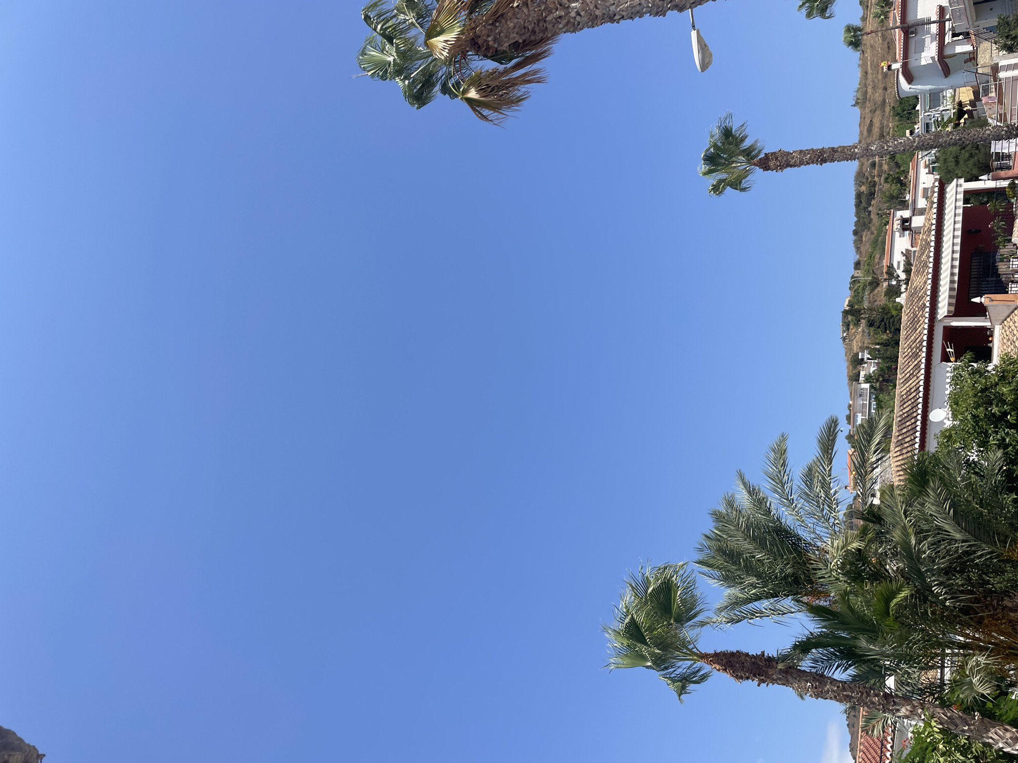 The image depicts a clear blue sky over a residential area in Almuñécar, Spain. Several palm trees are visible, with their fronds rustling in the breeze. In the background, there are hills covered with sparse vegetation and scattered white buildings with terracotta tiled roofs, characteristic of the Mediterranean architecture. Some of the buildings appear to be houses, while others might be apartments. A street lamp is also visible in the upper right portion of the image. The scene conveys a sense of a sunny day in a coastal town.