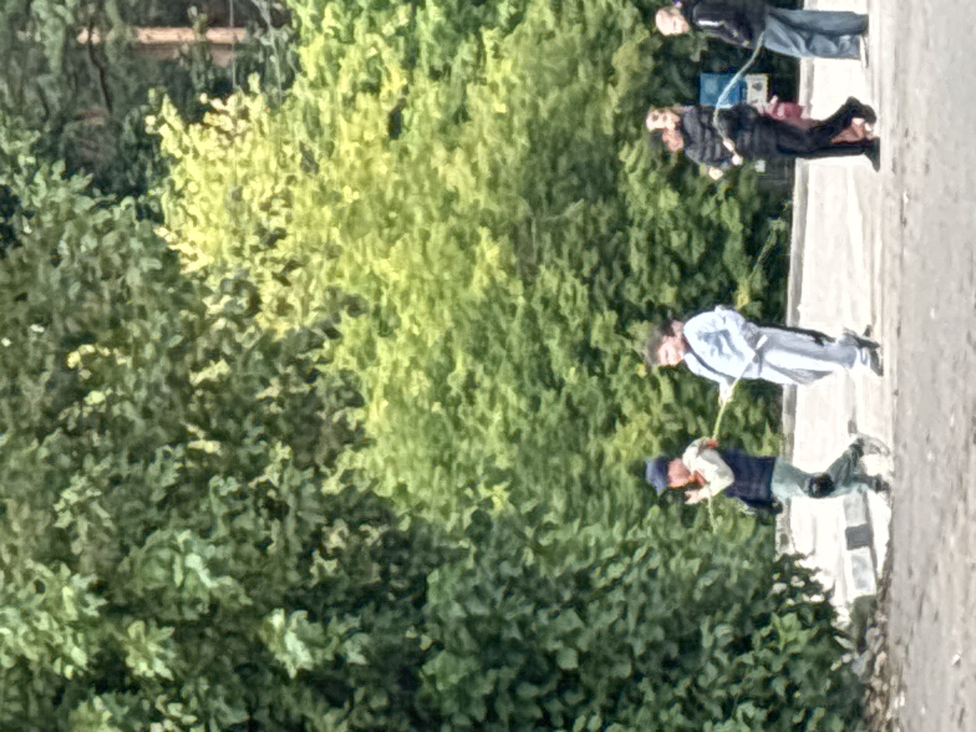 A group of people are walking on a paved area with a tree line behind them. In the foreground, a person wearing a blue hat, vest, and light-colored pants is walking from left to right, holding a stick. To their right, a person in a light blue outfit is walking in the same direction. Further to the right, several other individuals are visible, including one in a black jacket and pants and another in a black jacket and blue jeans. The environment appears to be outdoors with lush green foliage. This scene is located in Zvenigorod, Russia.
