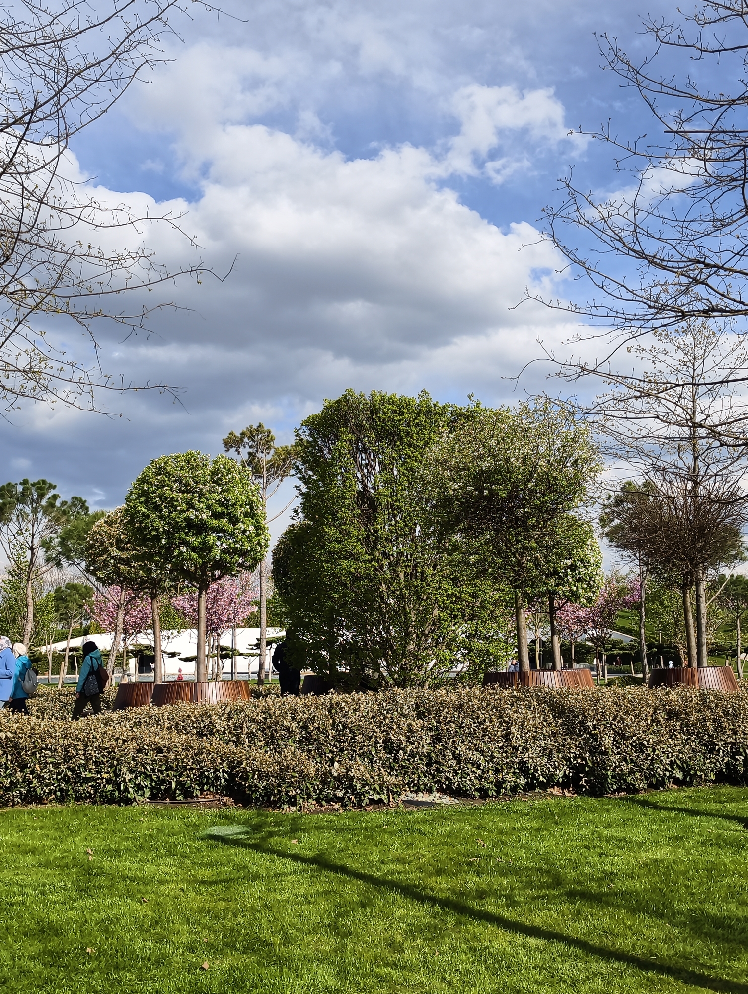 This image depicts a serene outdoor scene in a well-maintained park or garden, likely in Krasnodar, Russia, on a partly cloudy day. The foreground features a vibrant expanse of lush green grass with visible shadows, suggesting bright sunlight intermittently breaking through the clouds.
A dense, neatly trimmed hedge forms a natural barrier across the midground, behind which several individuals are seen strolling casually. On the left, two people are walking away from the viewer: one in a light blue jacket and head covering, and another in a dark jacket and head covering. Further to the right, a third person in dark attire is partially visible amidst the foliage.
The park is abundant with diverse trees, characteristic of early spring. Many trees are adorned with fresh, bright green leaves and white blossoms, while others exhibit delicate pink flowers. Taller trees with more mature green foliage and some evergreens are also present. Deciduous trees with bare branches, just beginning to bud, frame the top corners of the image against the sky, indicating the seasonal transition. Circular wooden benches are integrated into the landscape around some tree bases.
In the background, white structures or buildings are discernible through the trees. The sky is a striking canvas of bright blue patches interspersed with large, fluffy white and grey clouds. The overall atmosphere conveys a sense of peacefulness and natural beauty, ideal for a leisurely walk. There is no visible text in the image.